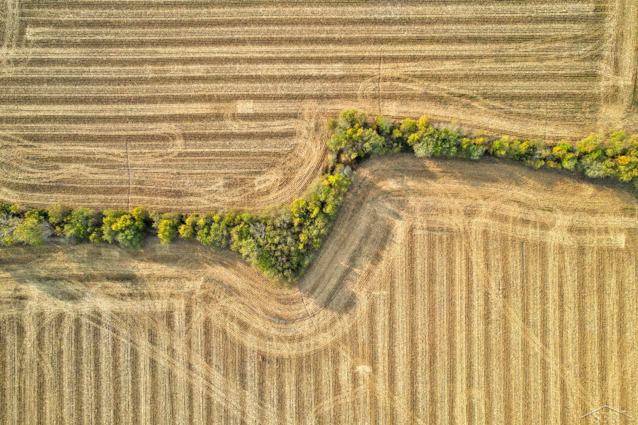 11 North 11 Mile Road Pinconning, MI 48650 - Photo 11 of 19