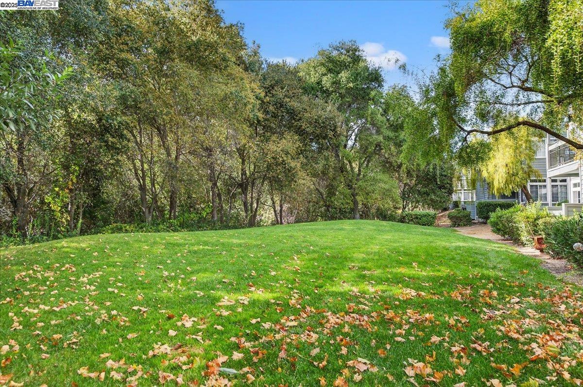 7875 Canyon Meadows Circle, Unit C Pleasanton, CA 94588 - Photo 25 of 32 a view of yard with green space