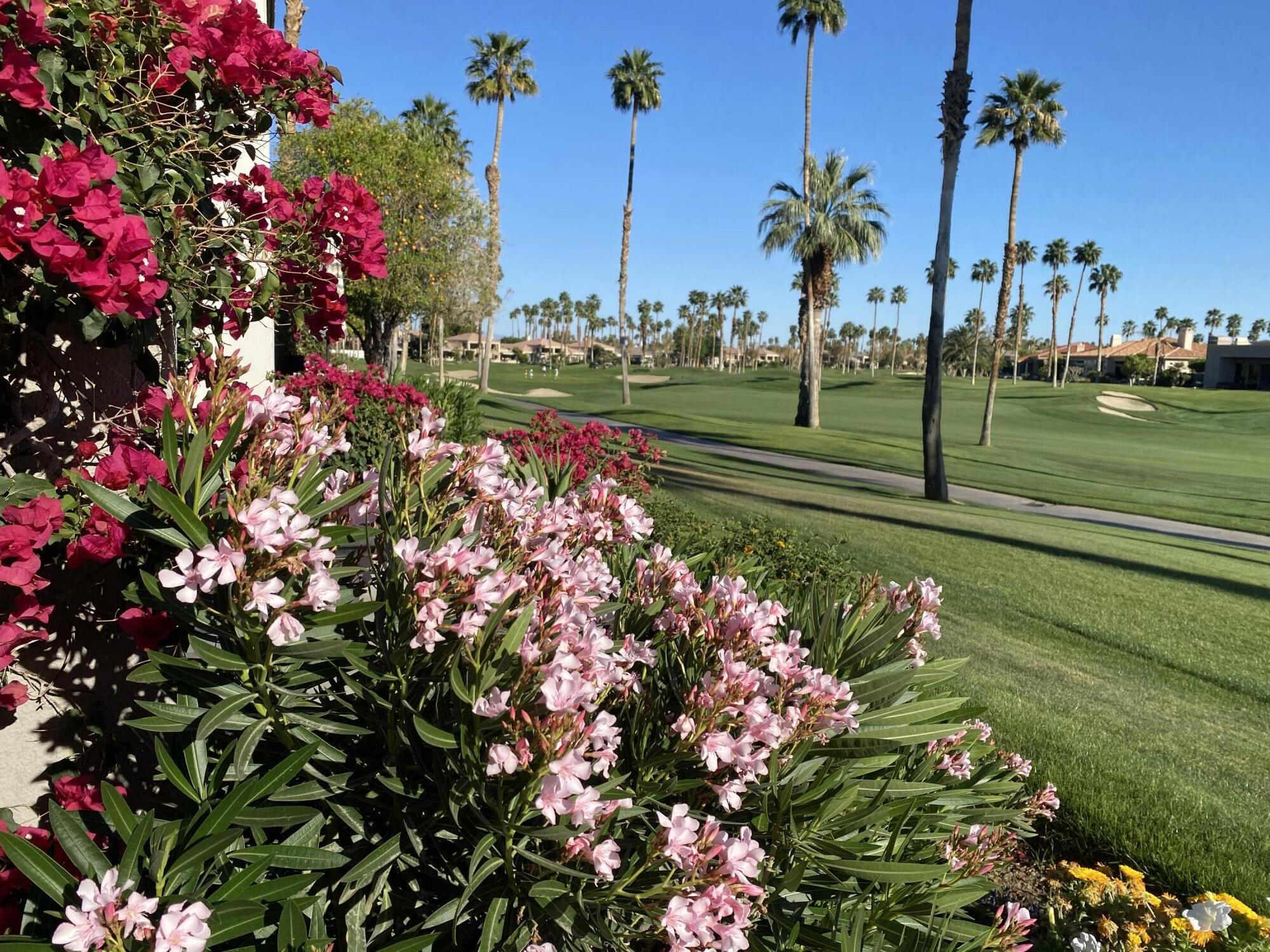54053 Oak-Hill La Quinta, CA 92253 - Photo 26 of 36 a view of a statue in a yard with swimming pool