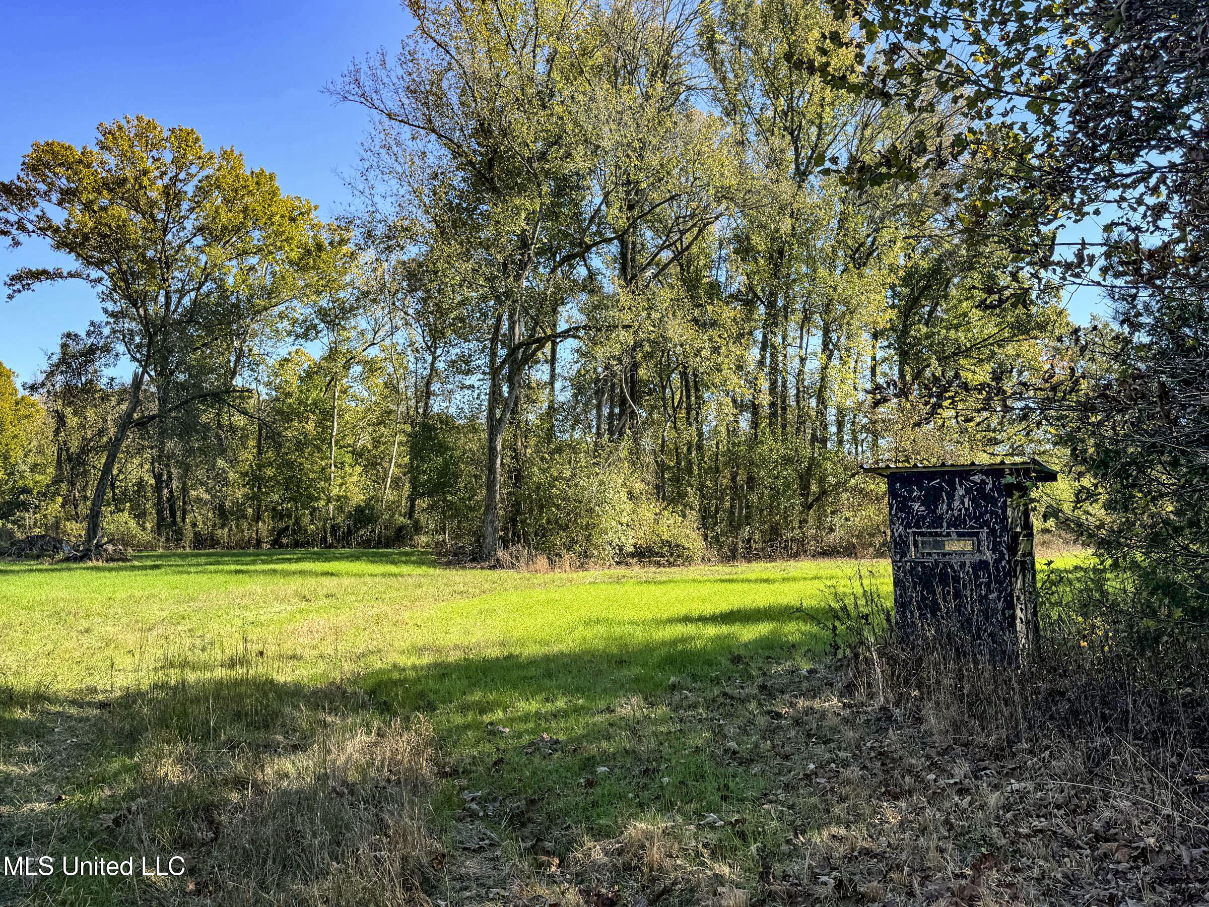 Shiloh Road Batesville, MS 38606 - Photo 101 of 106 5lckt84