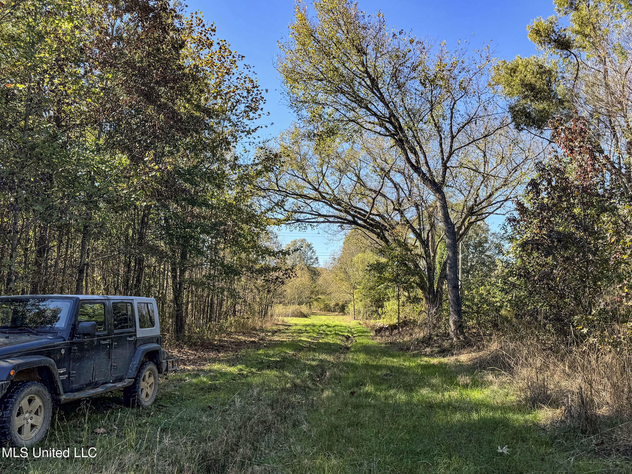 Shiloh Road Batesville, MS 38606 - Photo 102 of 106 5lckt87