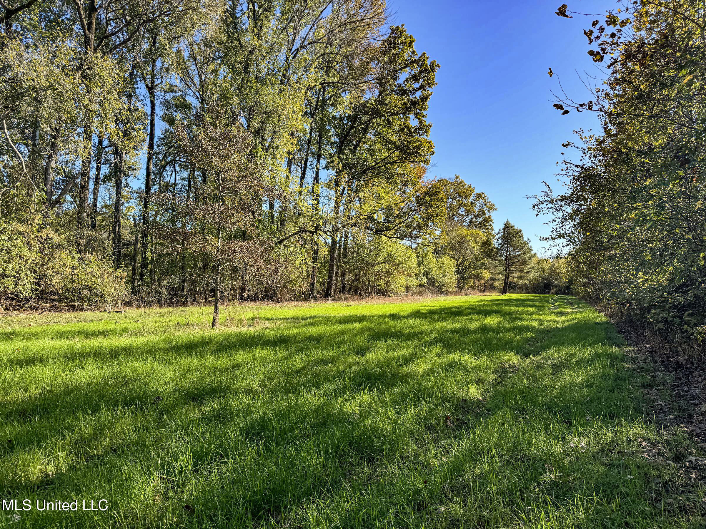 Shiloh Road Batesville, MS 38606 - Photo 103 of 106 5lckt90