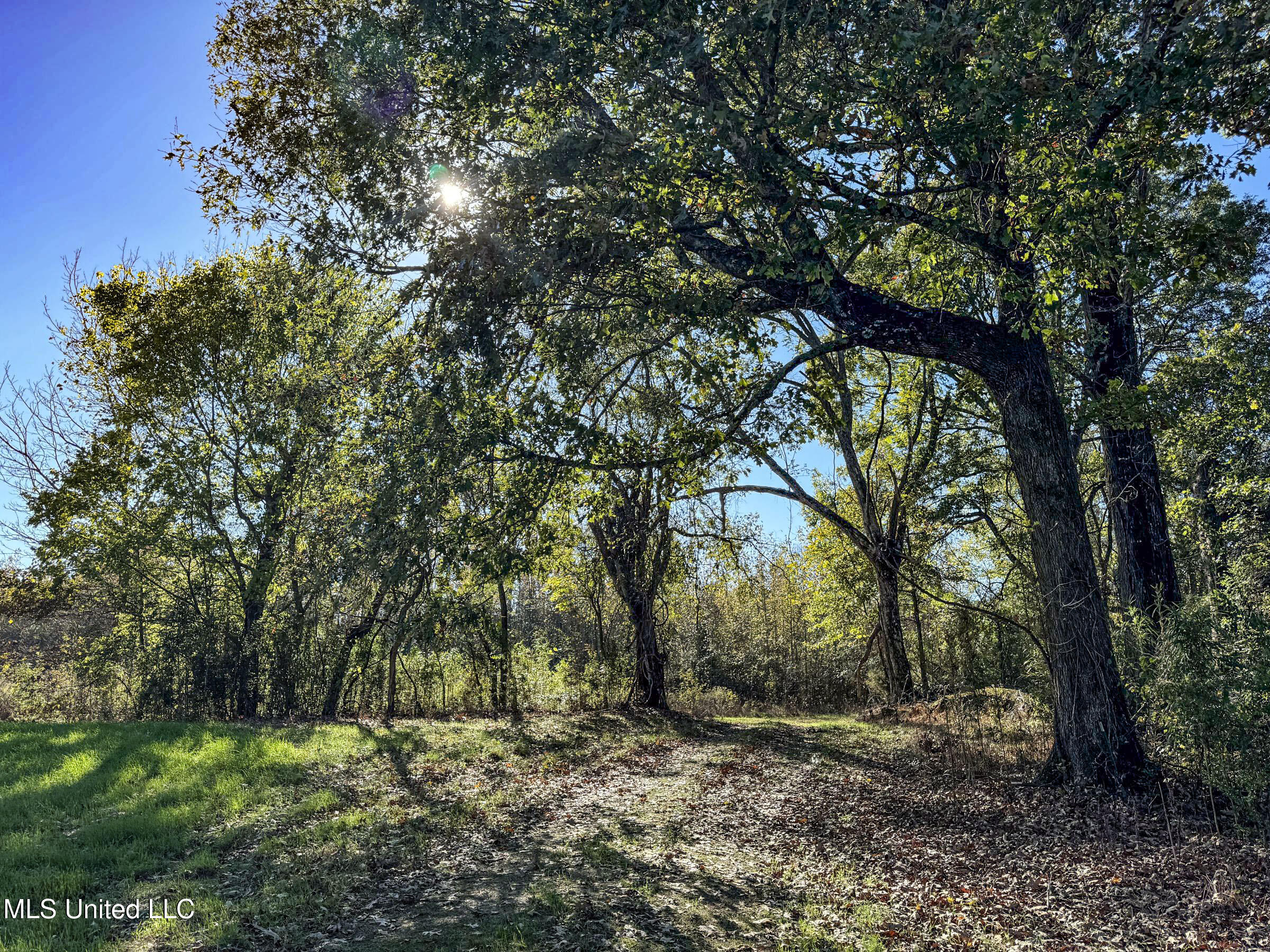 Shiloh Road Batesville, MS 38606 - Photo 104 of 106 5lckt92