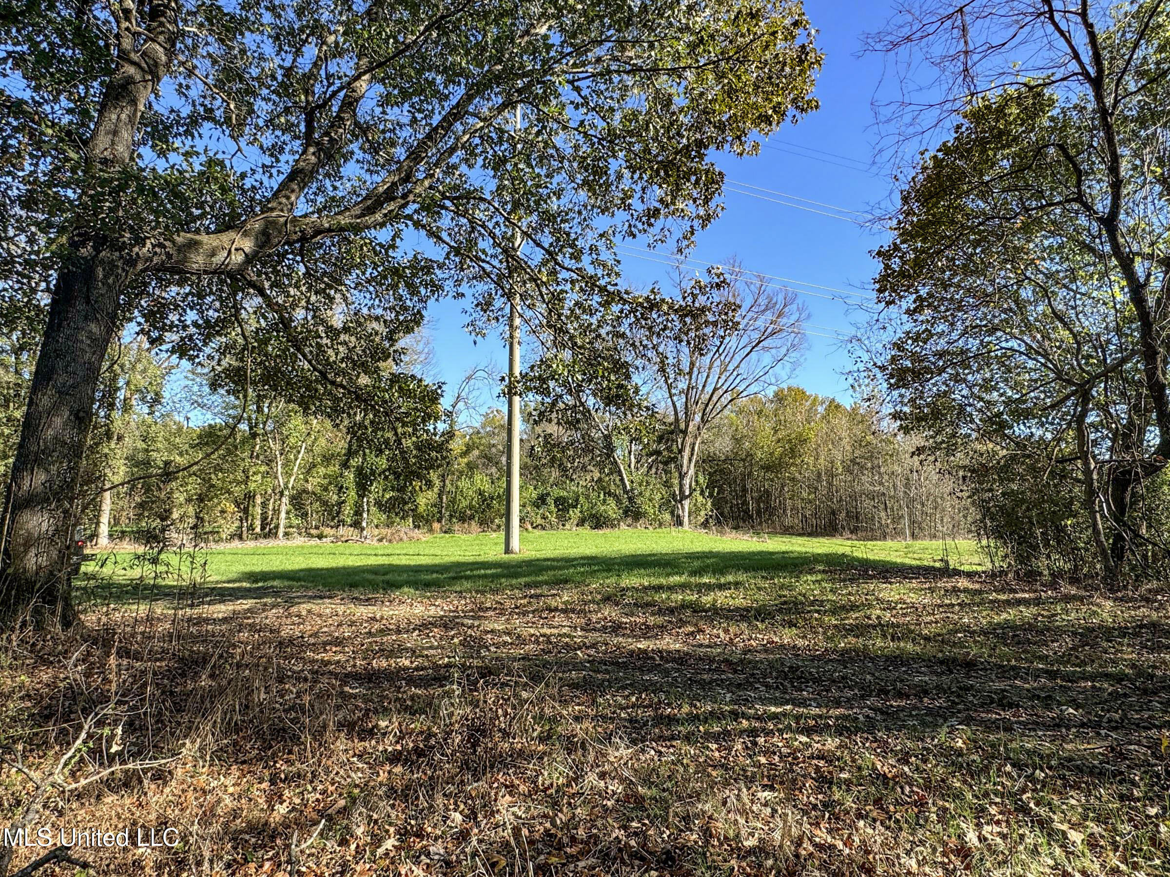 Shiloh Road Batesville, MS 38606 - Photo 105 of 106 5lckt95