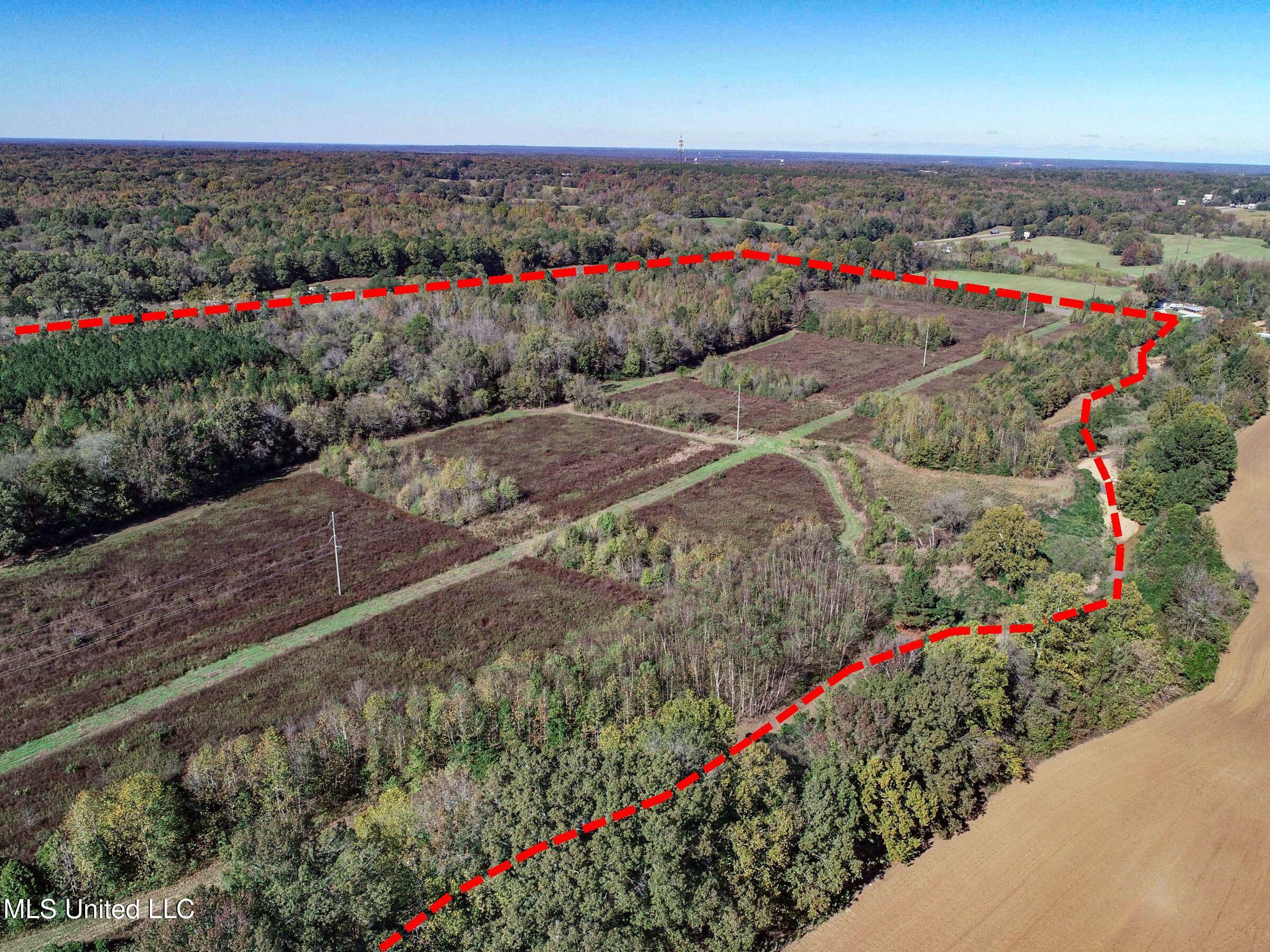 Shiloh Road Batesville, MS 38606 - Photo 19 of 106 3lckt15b