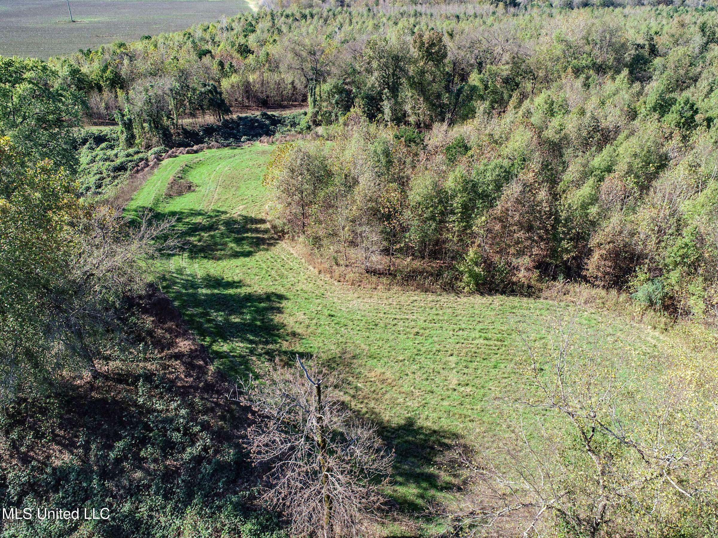 Shiloh Road Batesville, MS 38606 - Photo 40 of 106 3lckt43