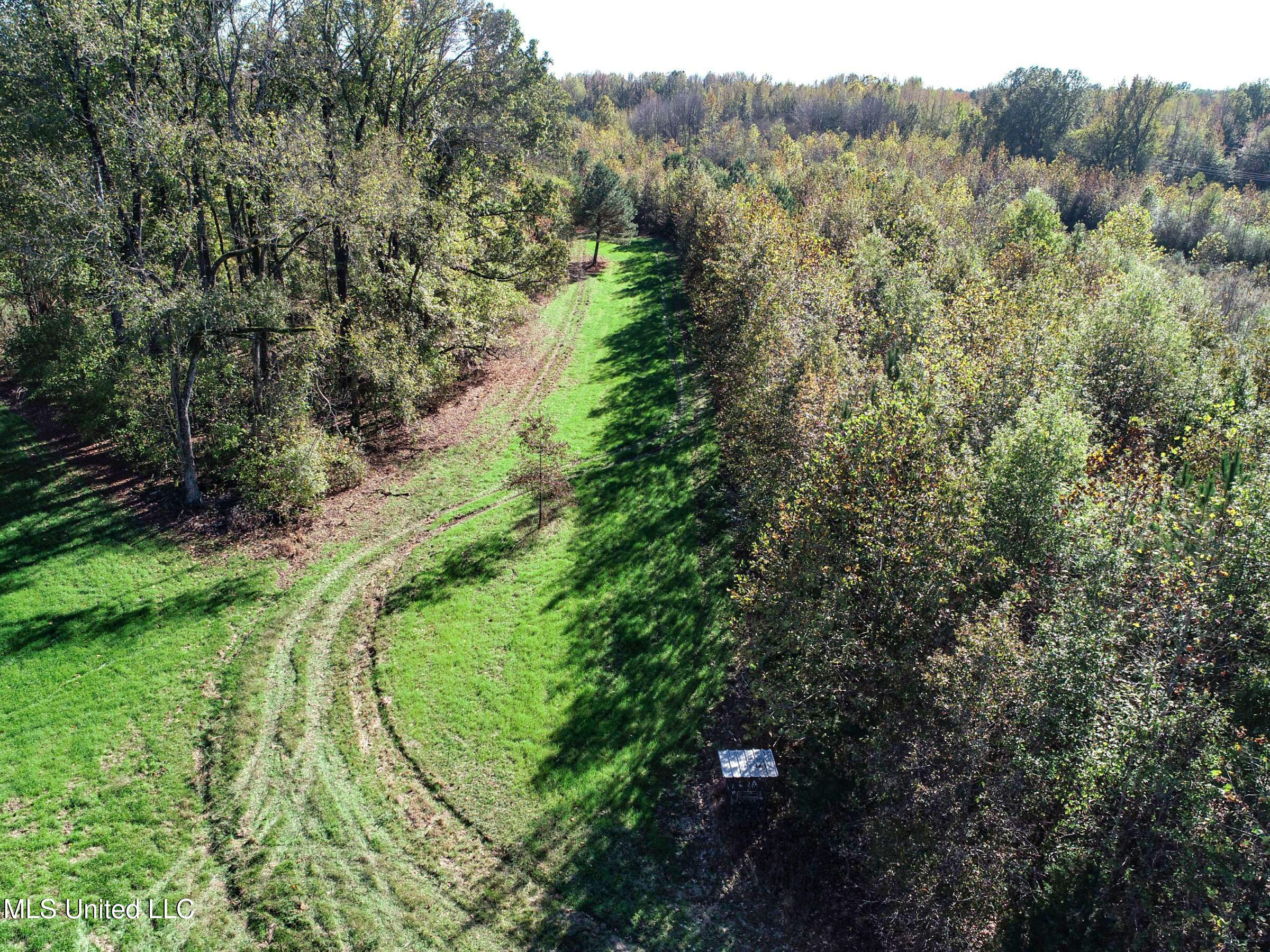 Shiloh Road Batesville, MS 38606 - Photo 43 of 106 3lckt50