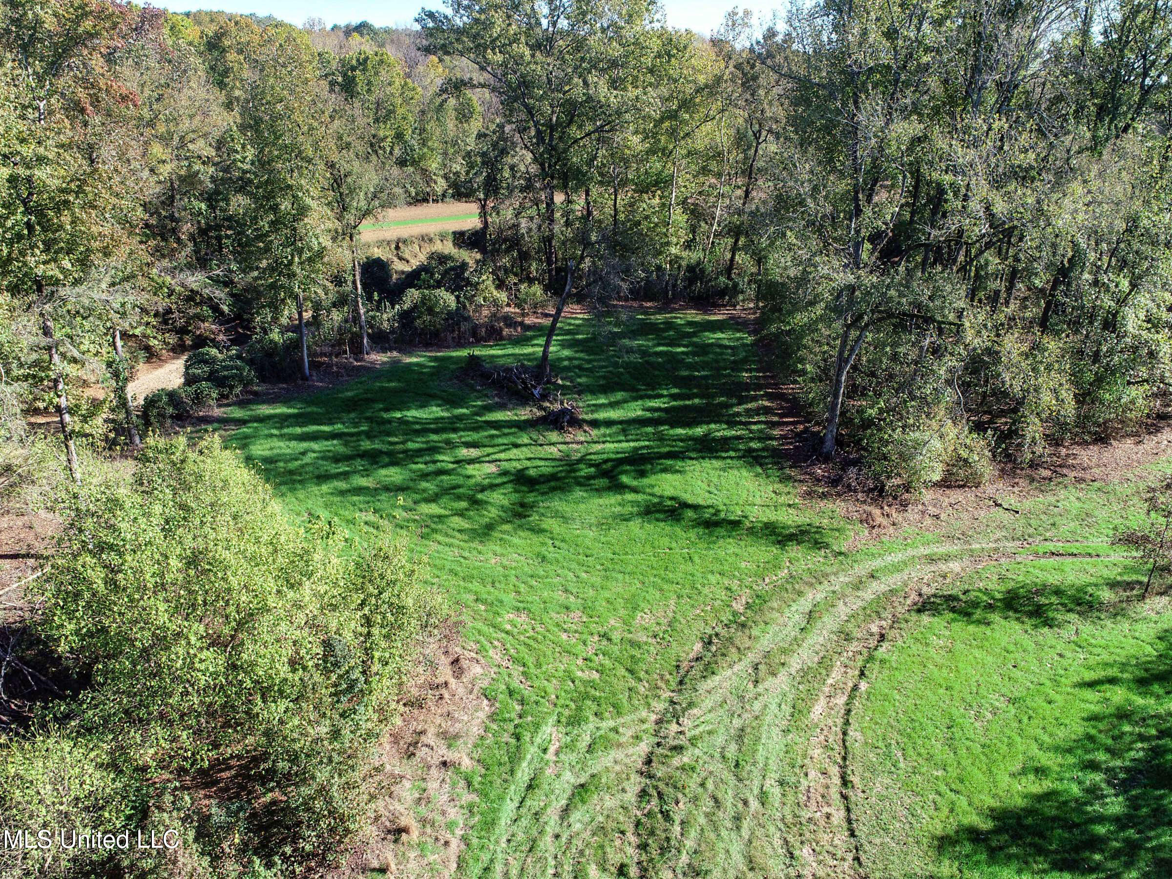 Shiloh Road Batesville, MS 38606 - Photo 44 of 106 3lckt51