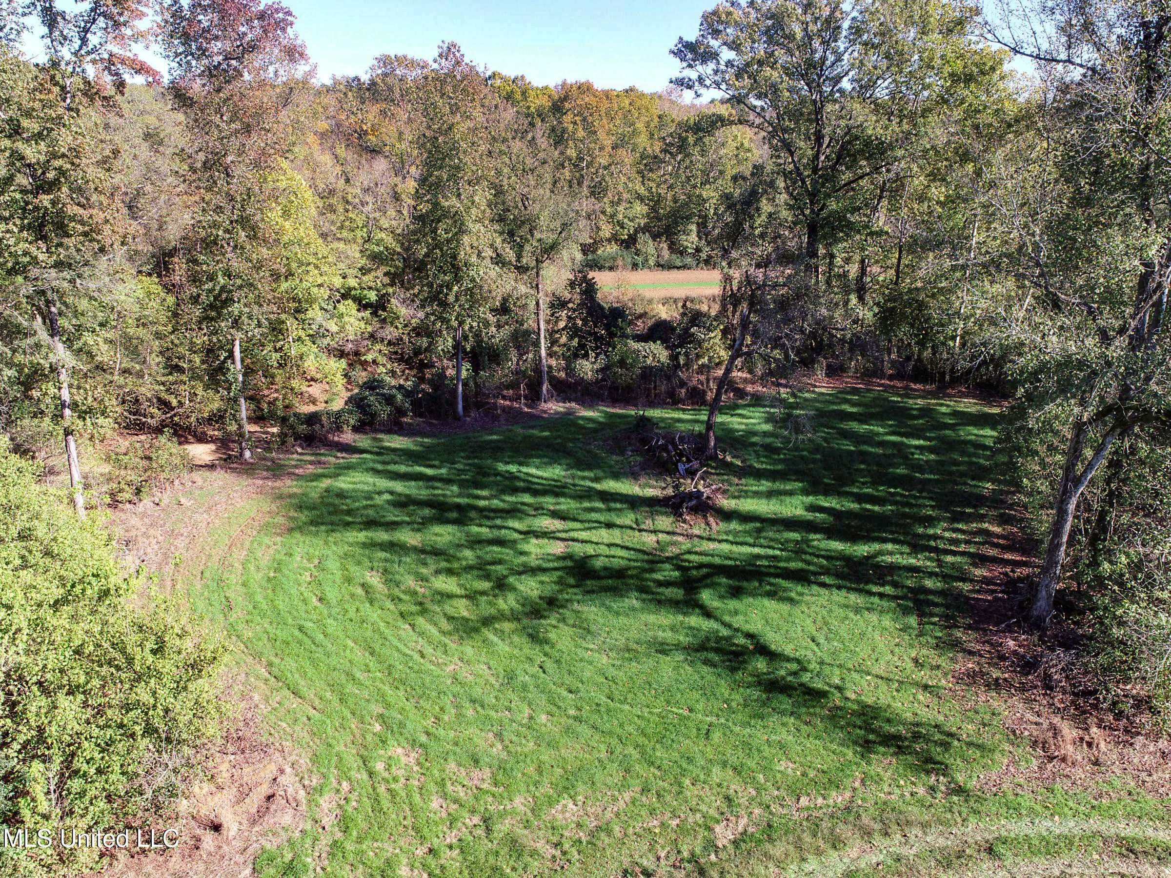 Shiloh Road Batesville, MS 38606 - Photo 45 of 106 3lckt52