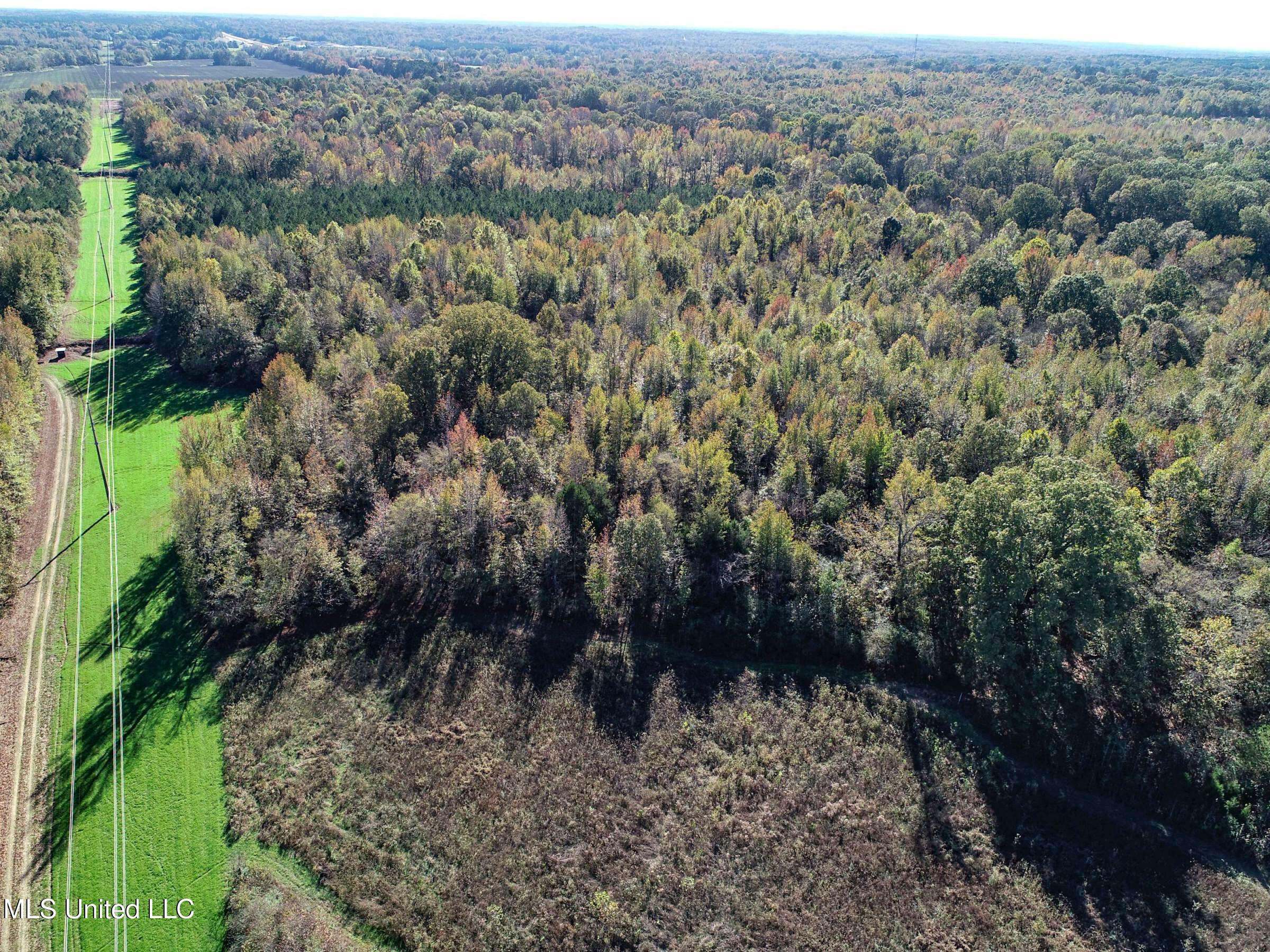 Shiloh Road Batesville, MS 38606 - Photo 48 of 106 3lckt57