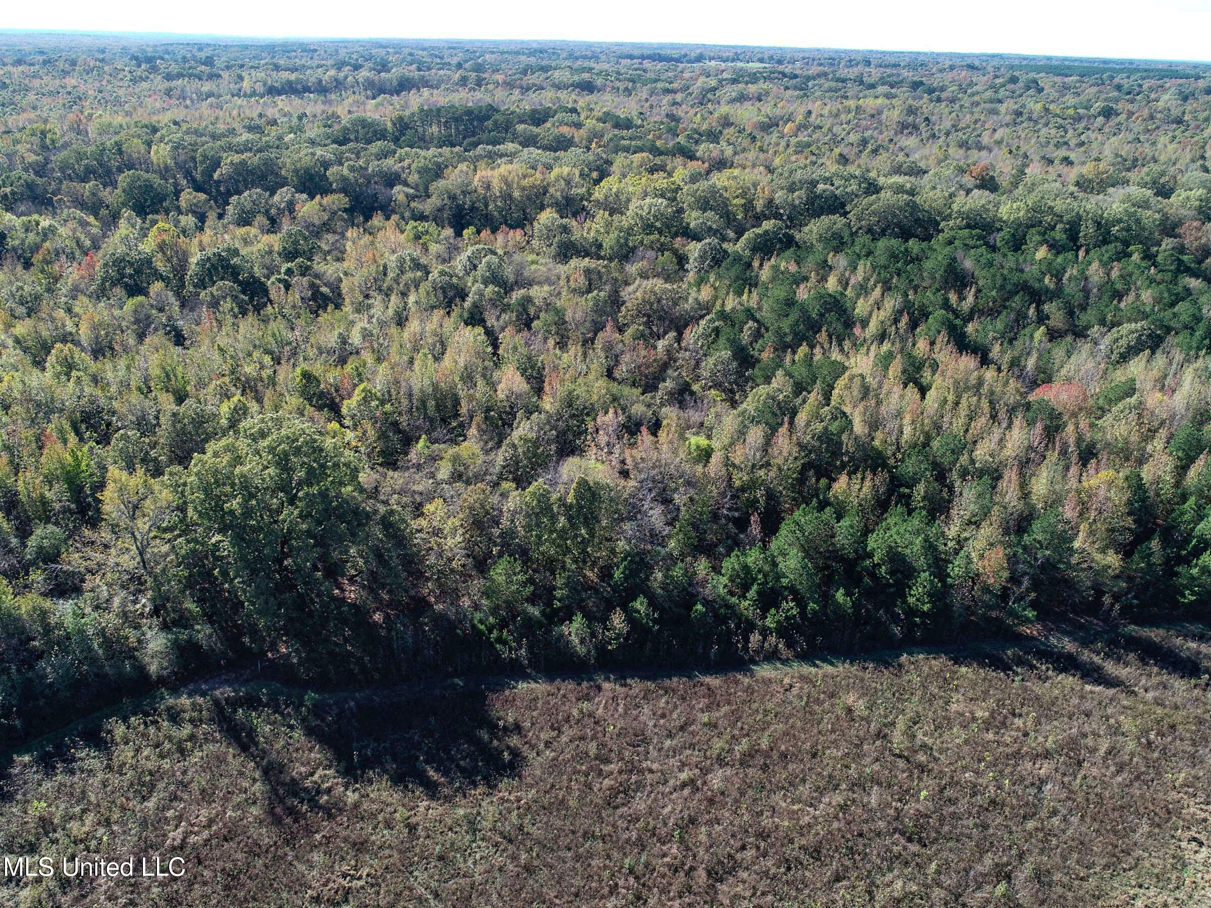 Shiloh Road Batesville, MS 38606 - Photo 49 of 106 3lckt58