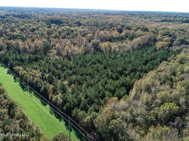 $1,325,000 | Shiloh Road, Batesville, MS 38606