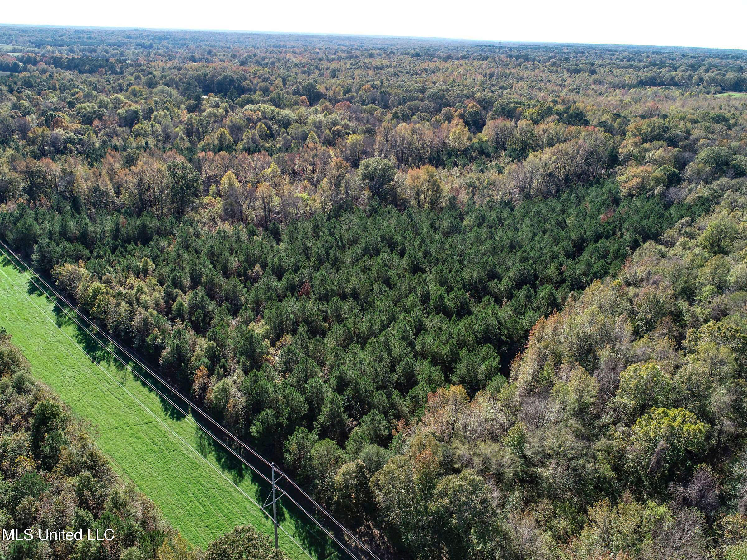 Shiloh Road Batesville, MS 38606 - Photo 54 of 106 3lckt64