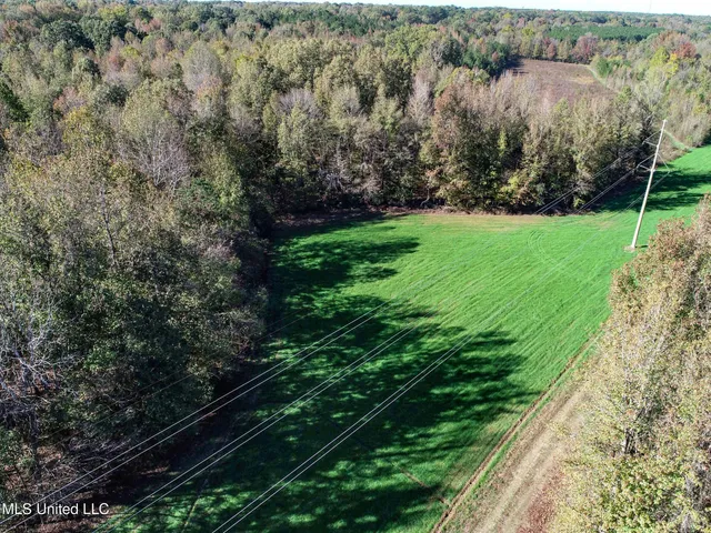 $1,325,000 | Shiloh Road, Batesville, MS 38606