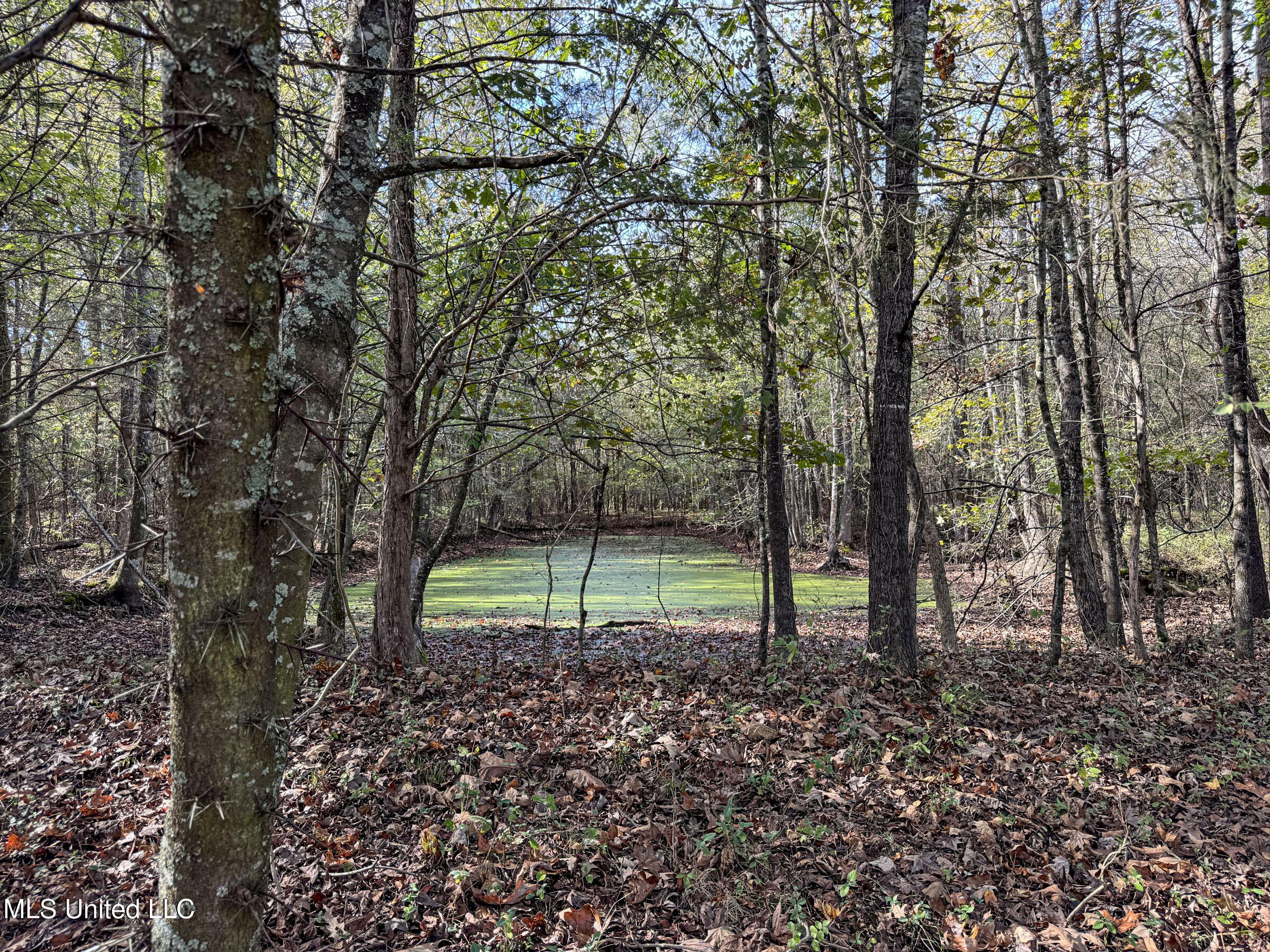 Shiloh Road Batesville, MS 38606 - Photo 58 of 106 5lckt2