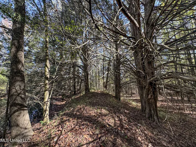 $1,325,000 | Shiloh Road, Batesville, MS 38606