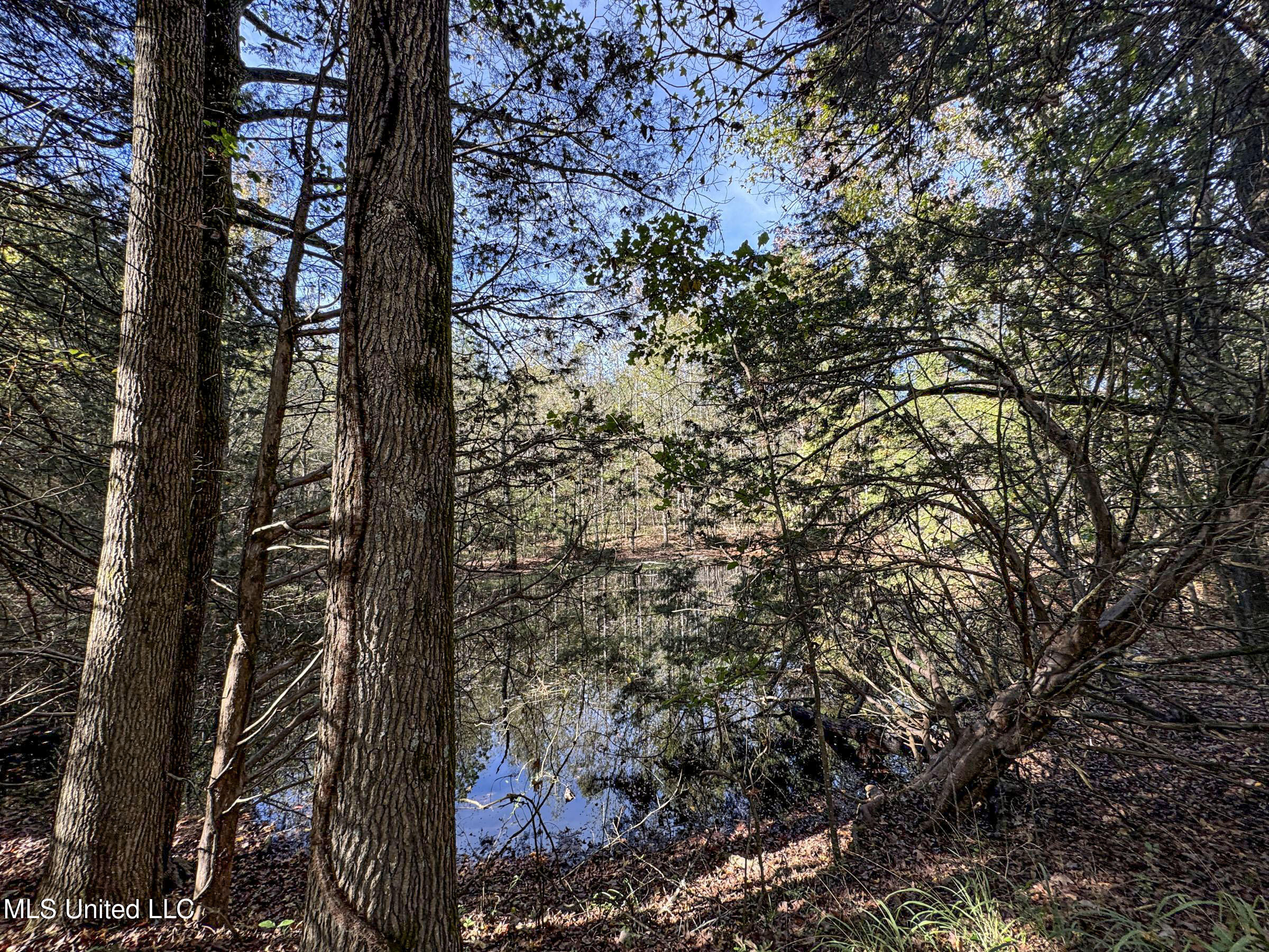 Shiloh Road Batesville, MS 38606 - Photo 60 of 106 5lckt11
