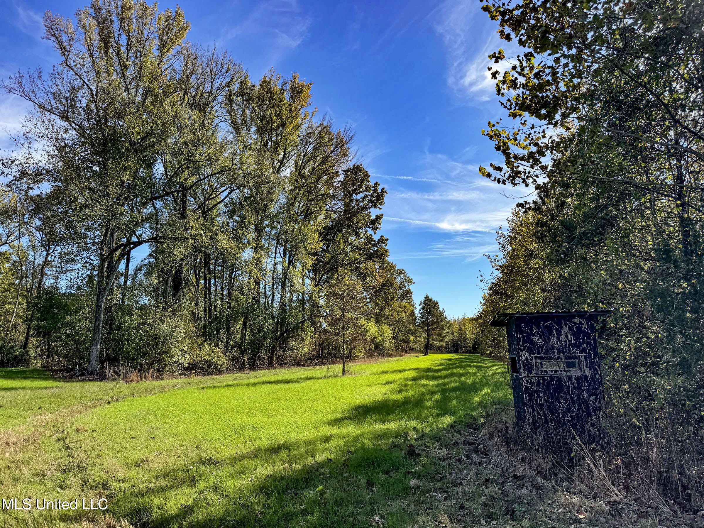 Shiloh Road Batesville, MS 38606 - Photo 61 of 106 5lckt15