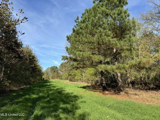 $1,325,000 | Shiloh Road, Batesville, MS 38606