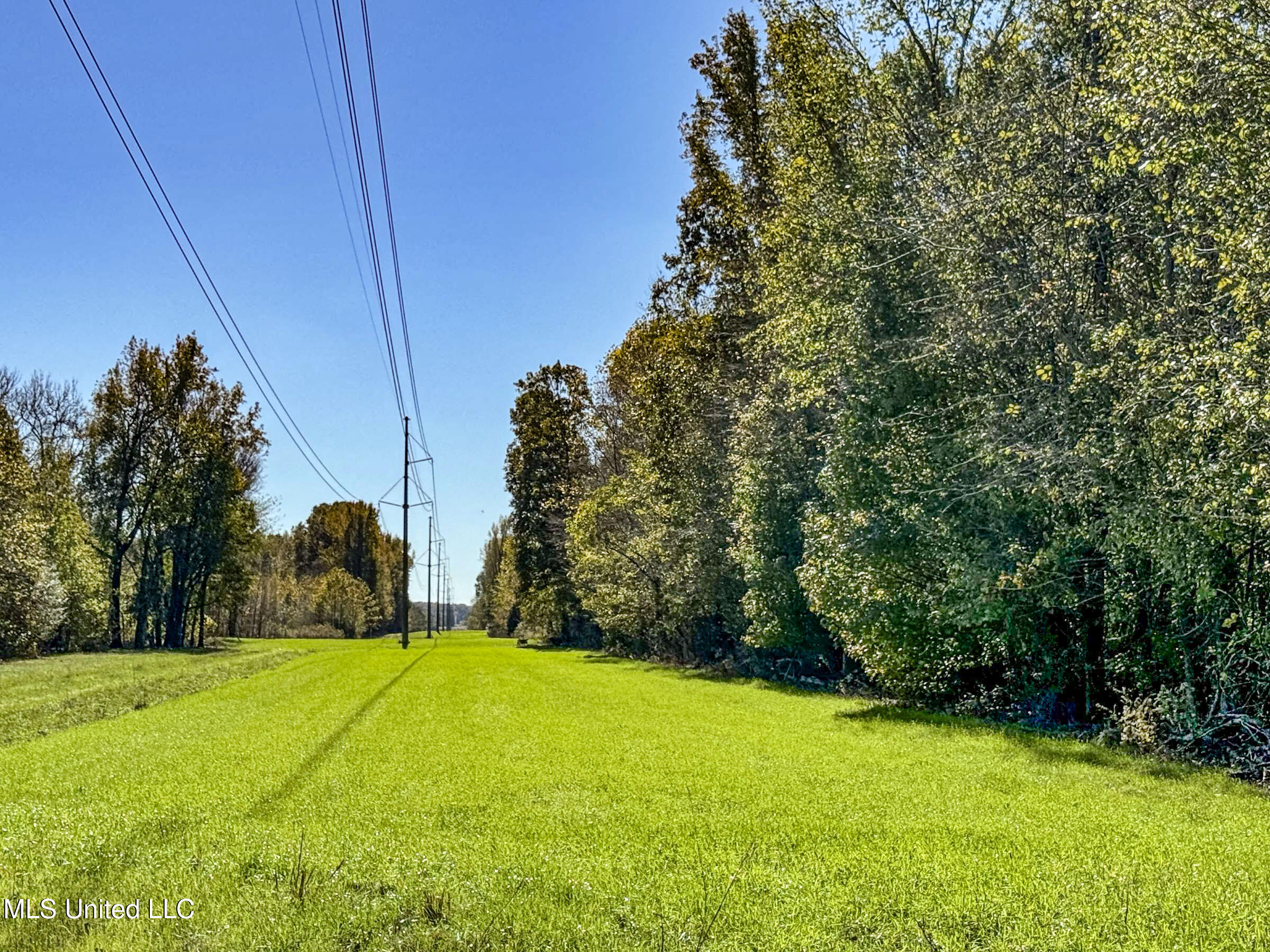 Shiloh Road Batesville, MS 38606 - Photo 63 of 106 5lckt17