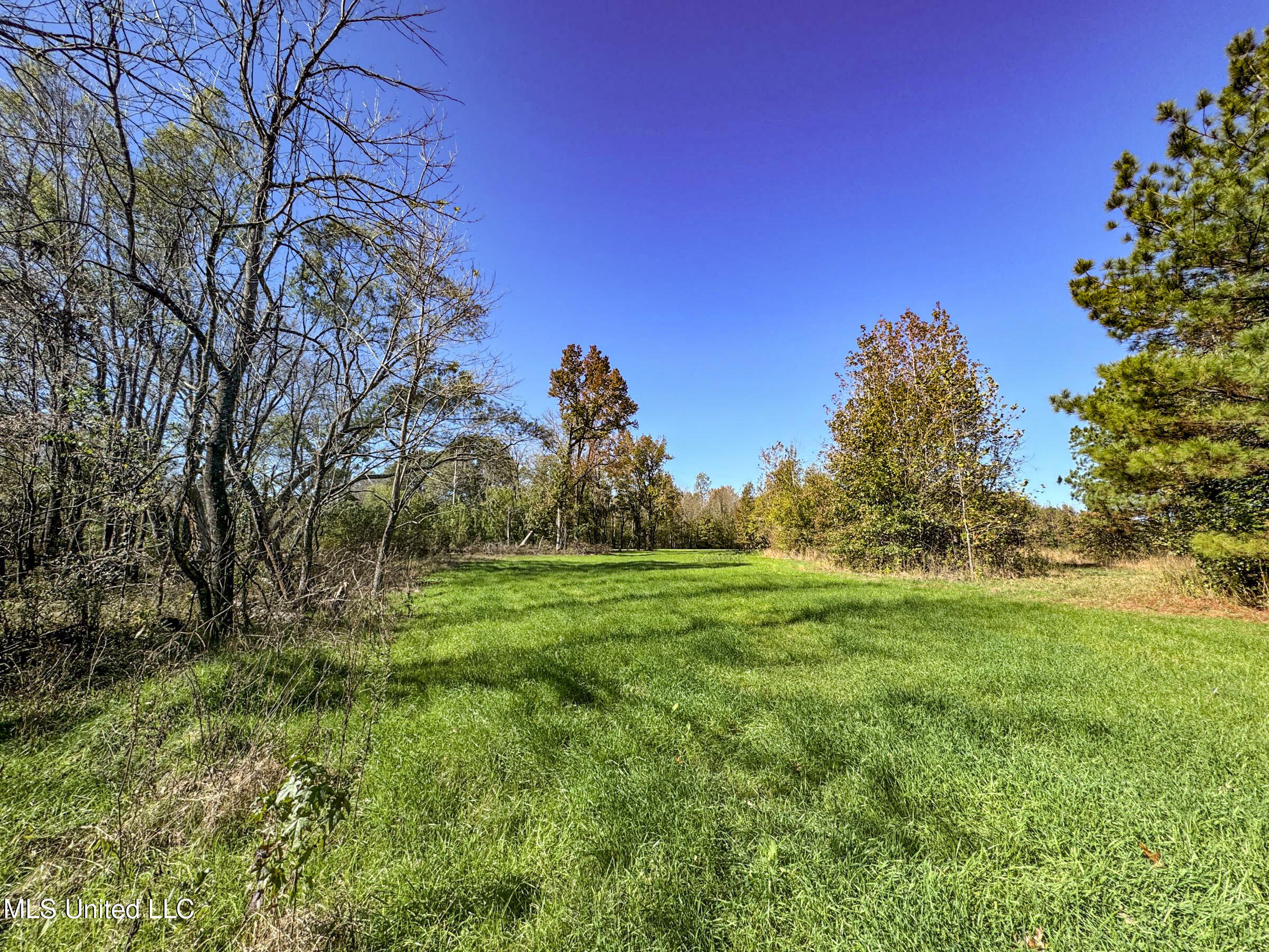 Shiloh Road Batesville, MS 38606 - Photo 65 of 106 5lckt22