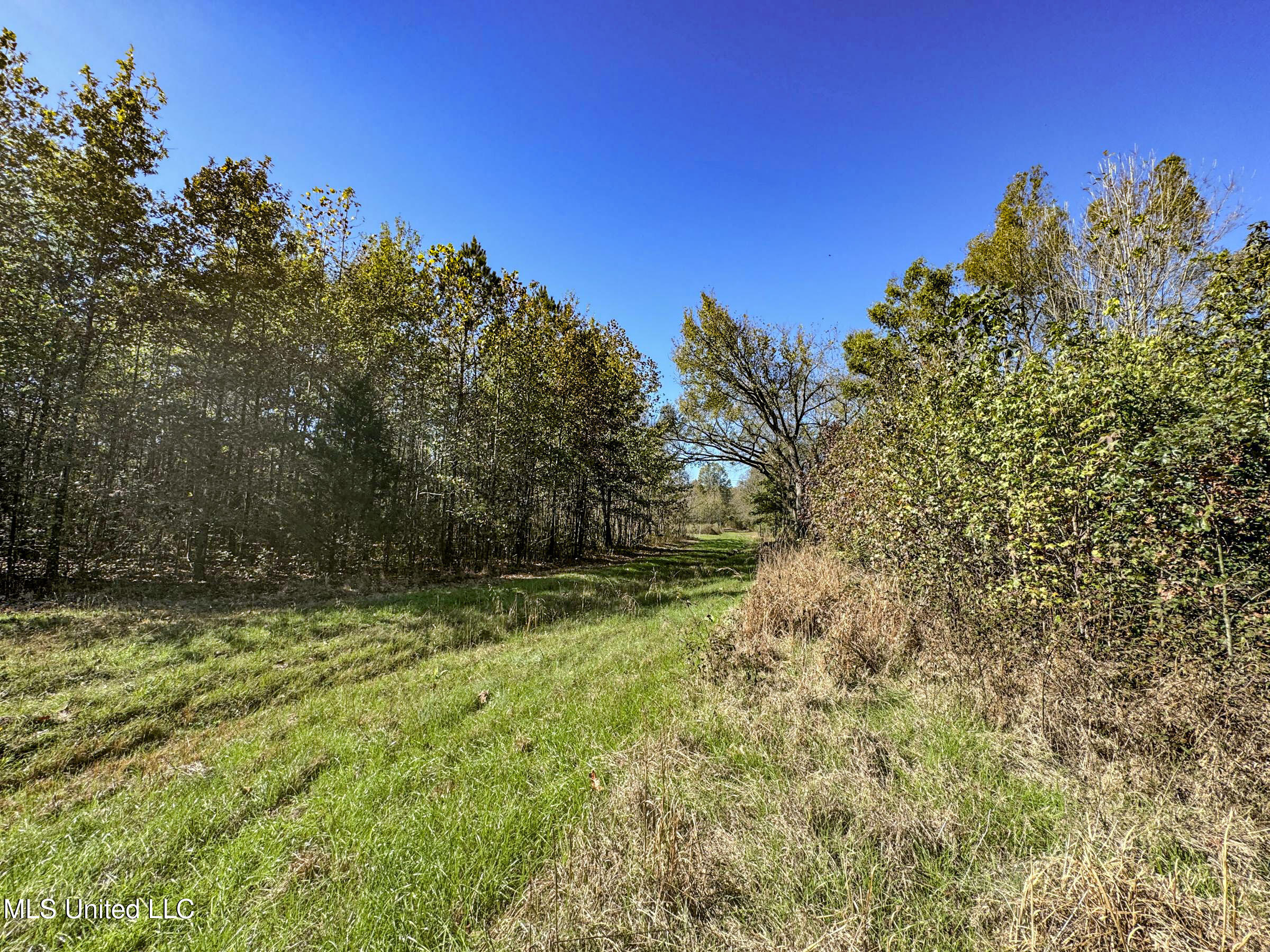 Shiloh Road Batesville, MS 38606 - Photo 66 of 106 5lckt23
