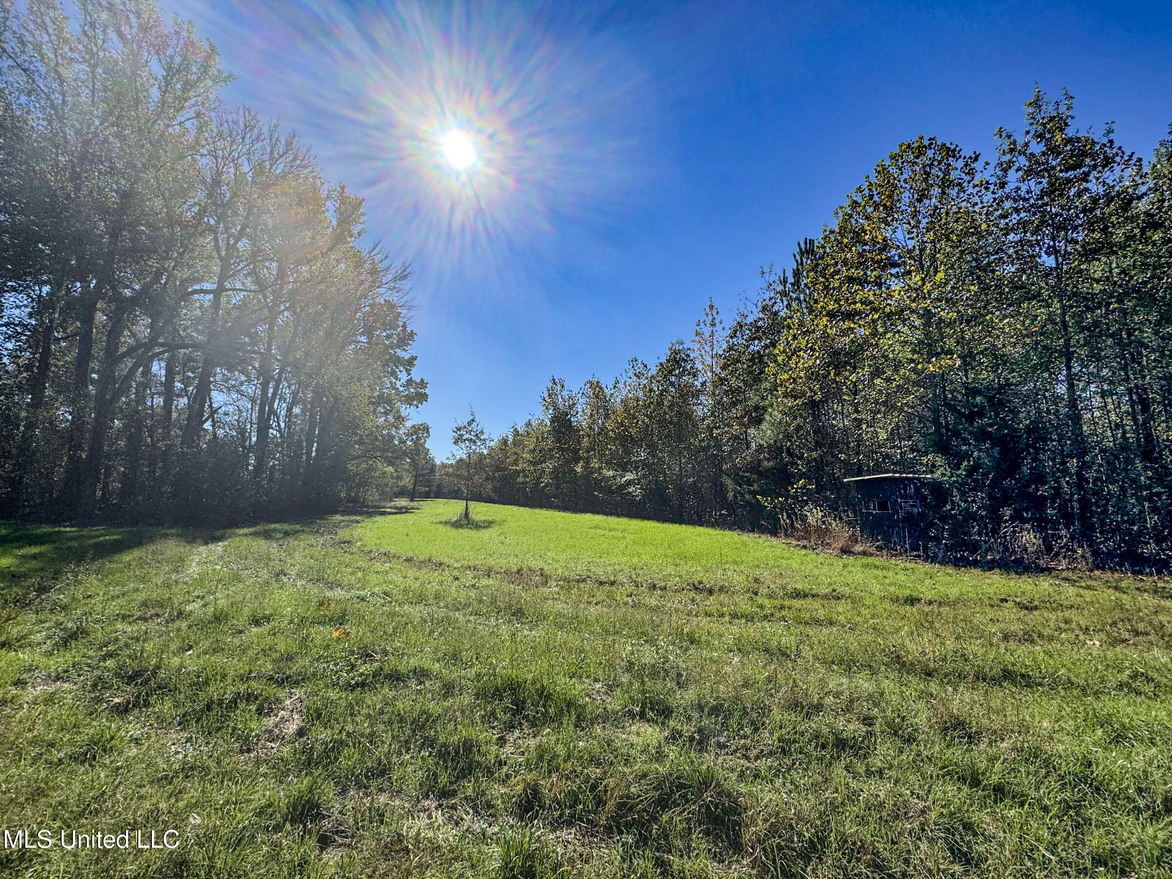 Shiloh Road Batesville, MS 38606 - Photo 67 of 106 5lckt24