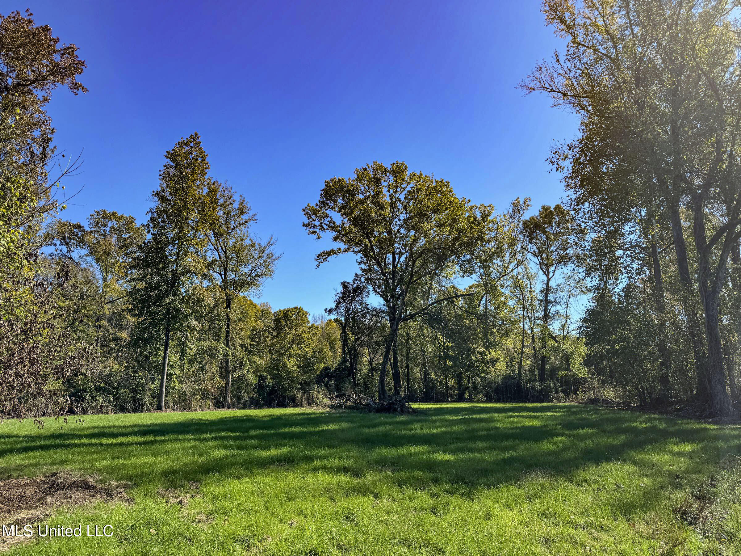 Shiloh Road Batesville, MS 38606 - Photo 68 of 106 5lckt25