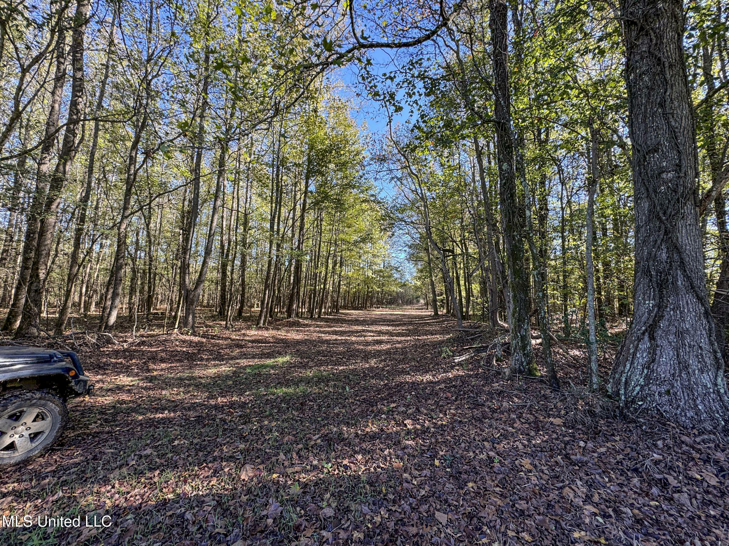 Shiloh Road Batesville, MS 38606 - Photo 75 of 106 5lckt34