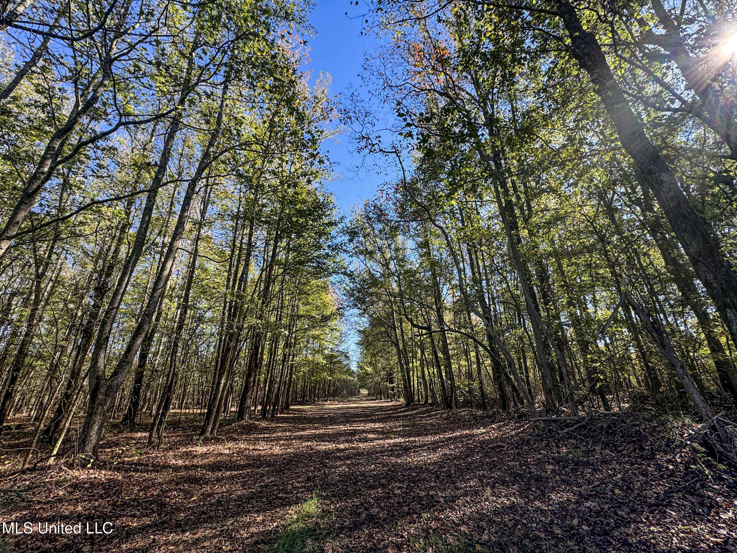Shiloh Road Batesville, MS 38606 - Photo 76 of 106 5lckt35