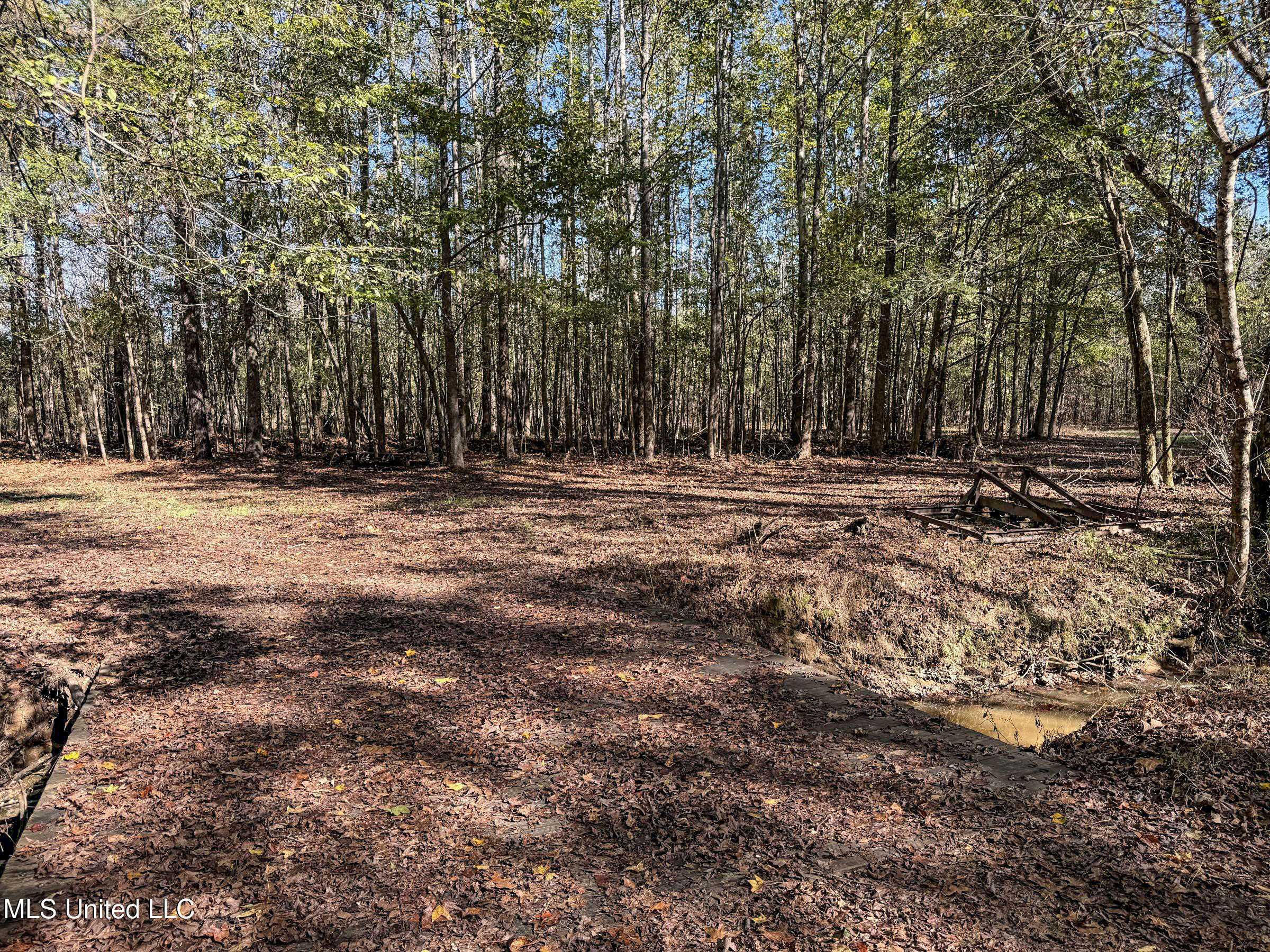 Shiloh Road Batesville, MS 38606 - Photo 77 of 106 5lckt36