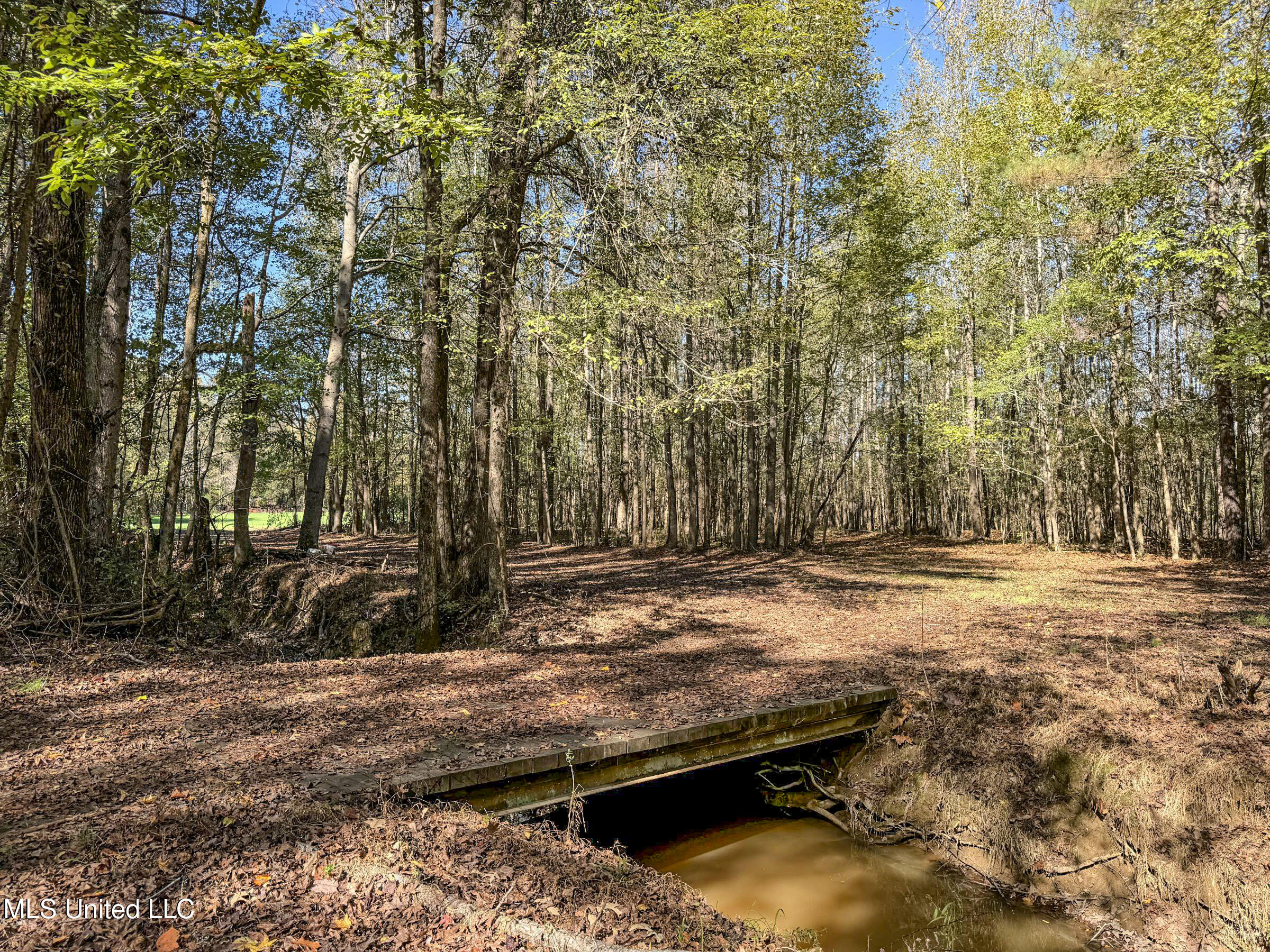 Shiloh Road Batesville, MS 38606 - Photo 78 of 106 5lckt37