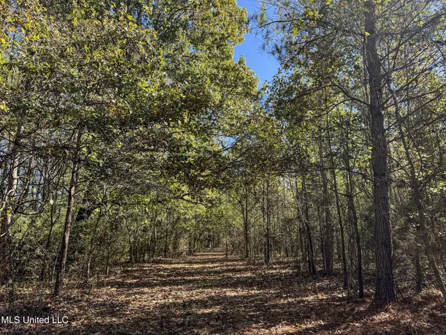 $1,325,000 | Shiloh Road, Batesville, MS 38606