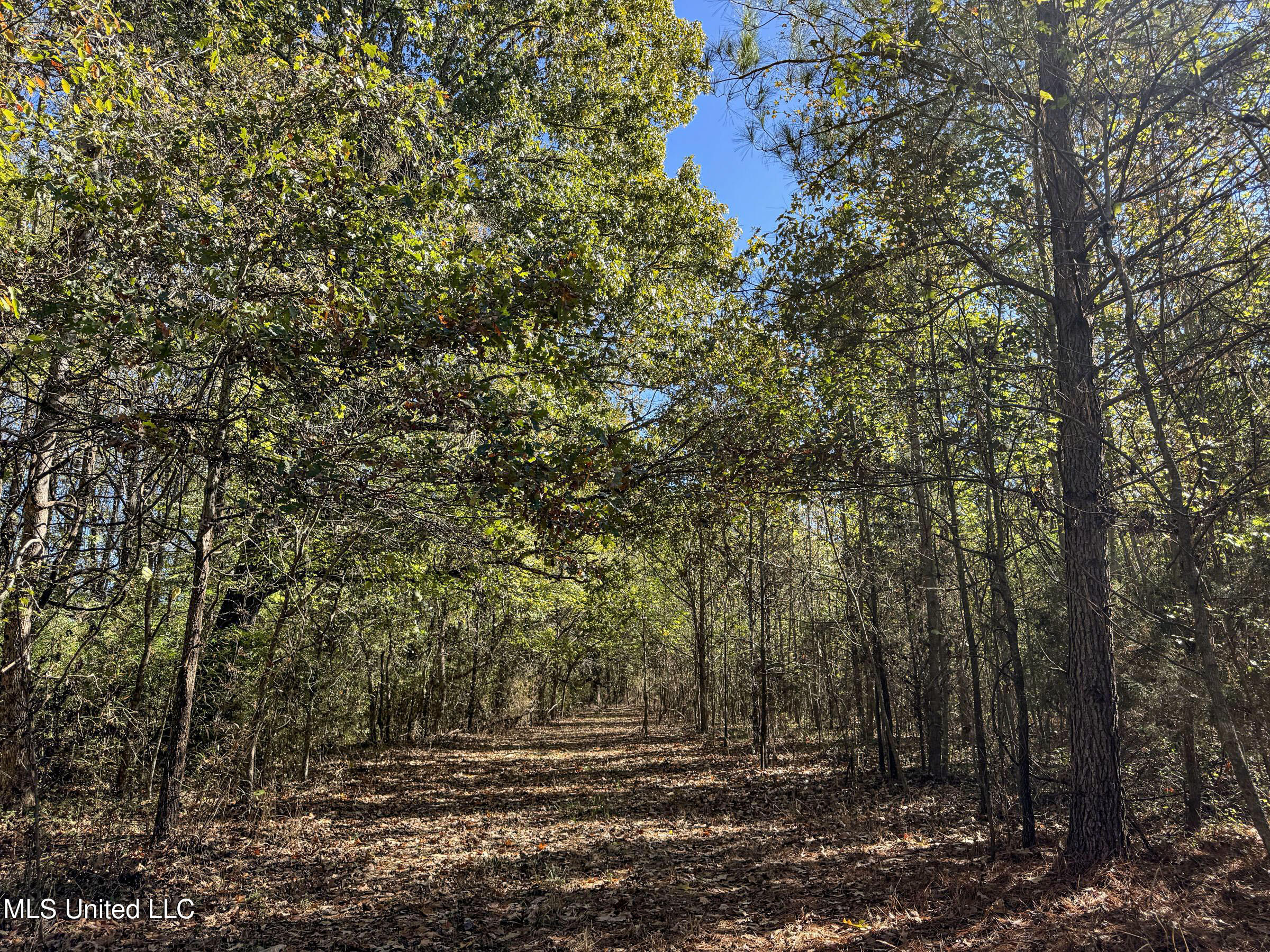 Shiloh Road Batesville, MS 38606 - Photo 79 of 106 5lckt40