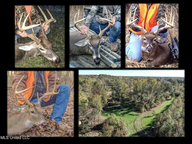 $1,325,000 | Shiloh Road, Batesville, MS 38606