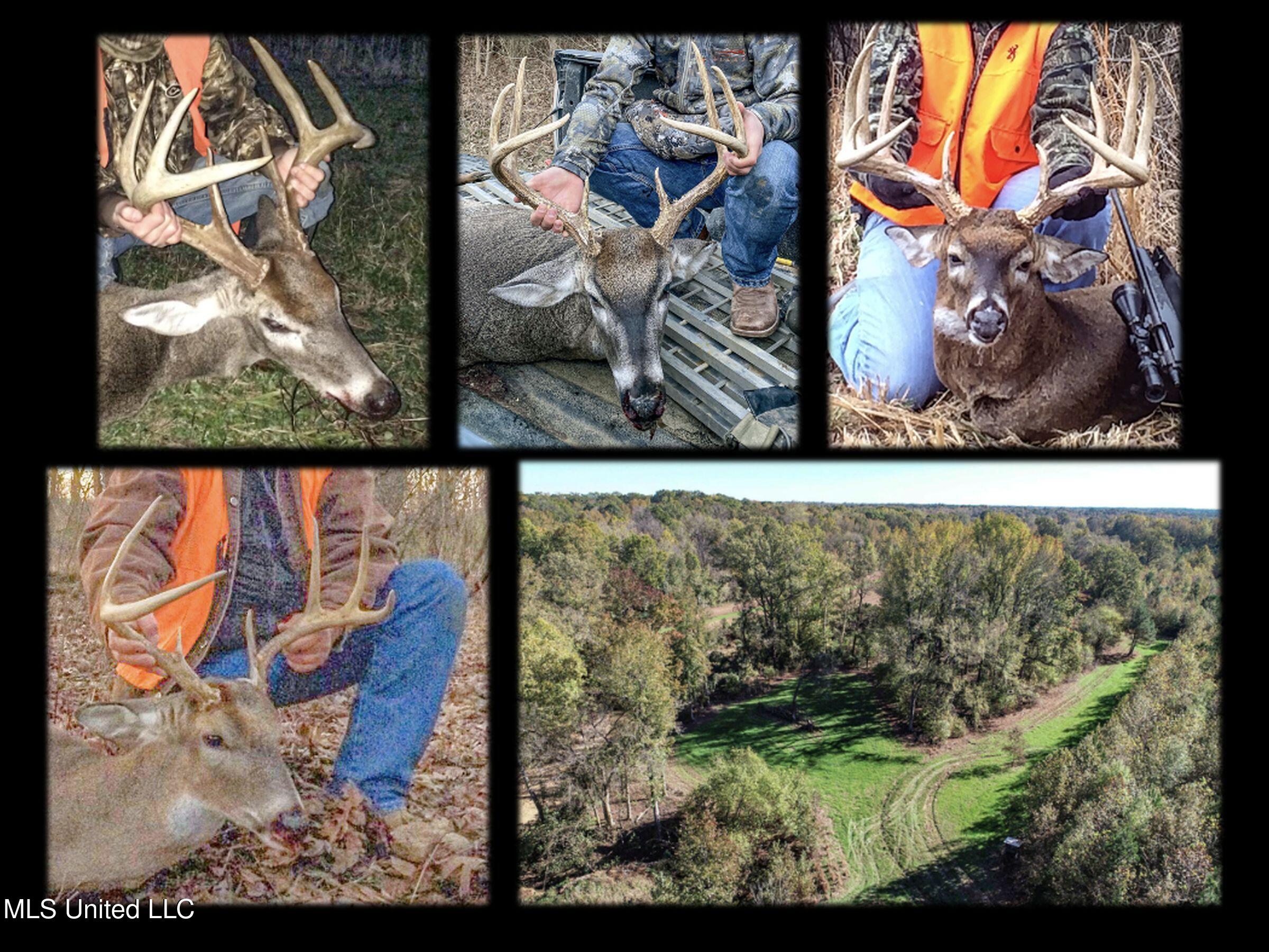 Shiloh Road Batesville, MS 38606 - Photo 8 of 106 deer harvest 366