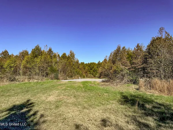 $1,325,000 | Shiloh Road, Batesville, MS 38606