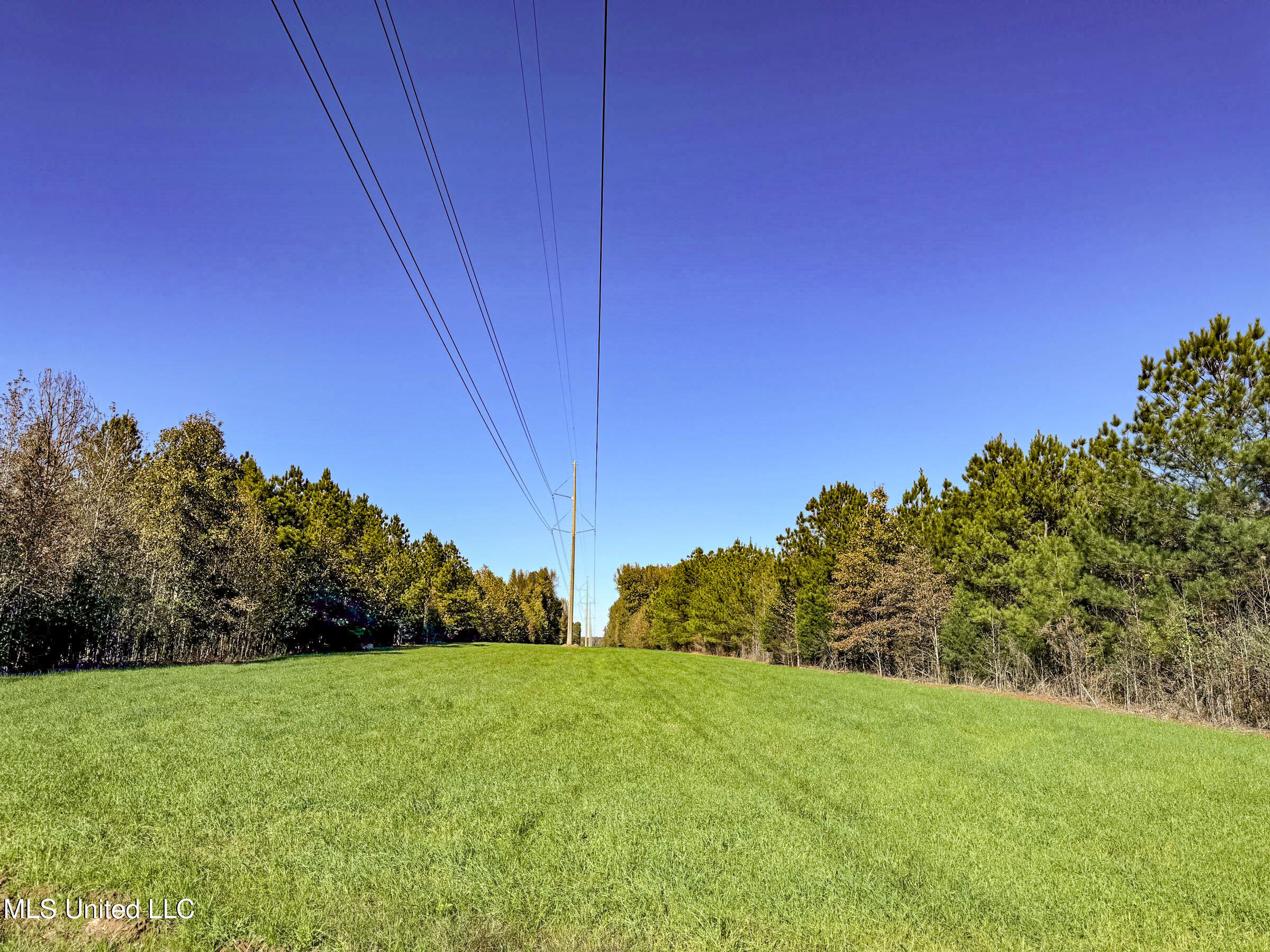 Shiloh Road Batesville, MS 38606 - Photo 90 of 106 5lckt58