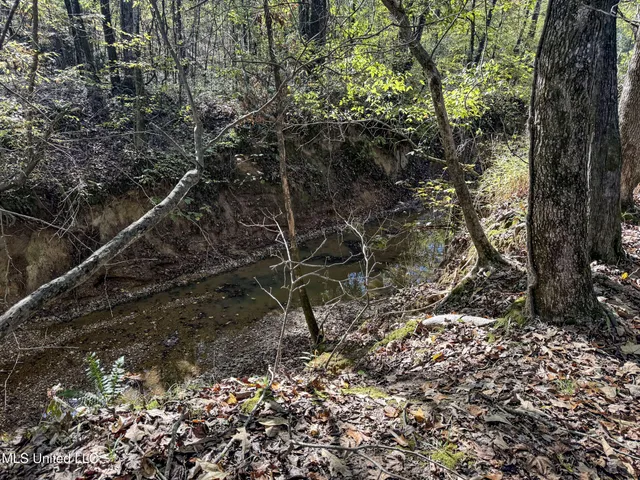 $1,325,000 | Shiloh Road, Batesville, MS 38606