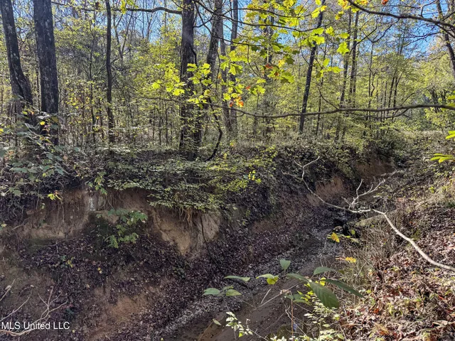 $1,325,000 | Shiloh Road, Batesville, MS 38606