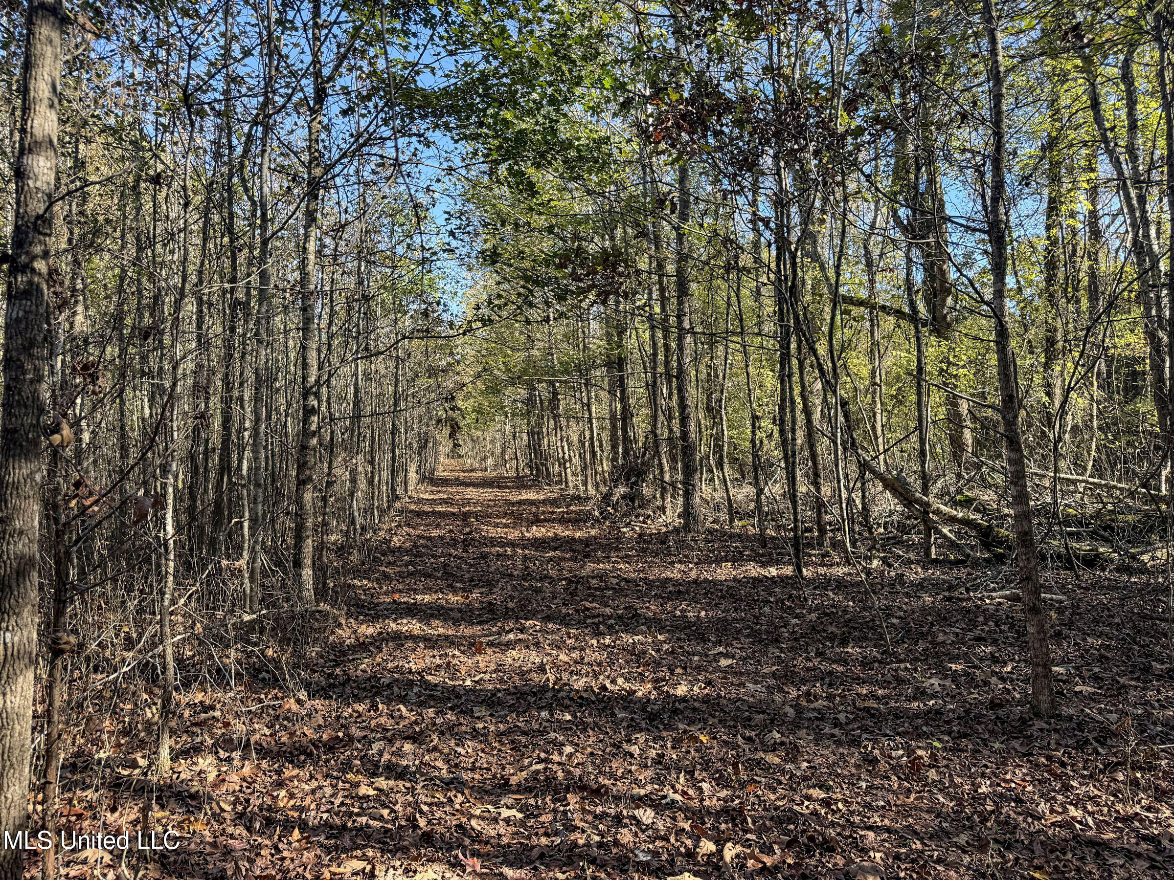 Shiloh Road Batesville, MS 38606 - Photo 94 of 106 5lckt68
