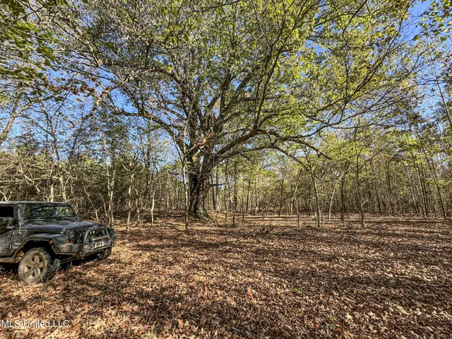 $1,325,000 | Shiloh Road, Batesville, MS 38606