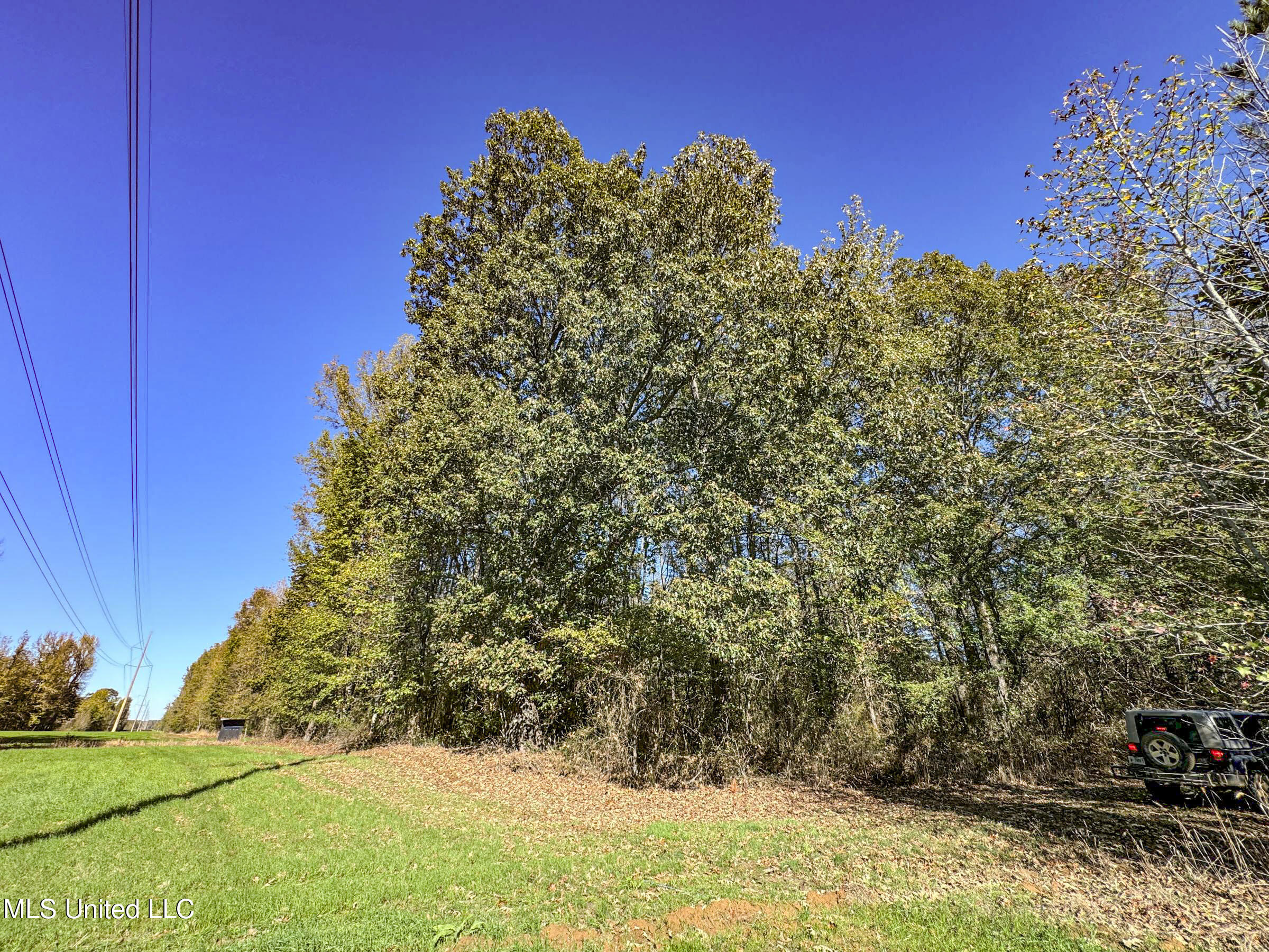 Shiloh Road Batesville, MS 38606 - Photo 96 of 106 5lckt75