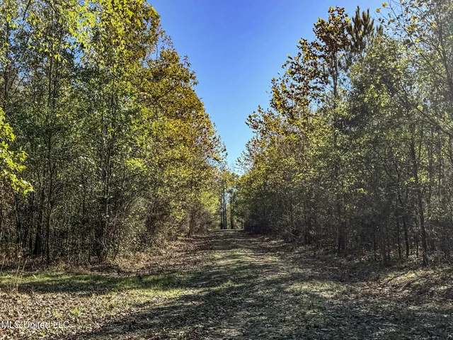 $1,325,000 | Shiloh Road, Batesville, MS 38606