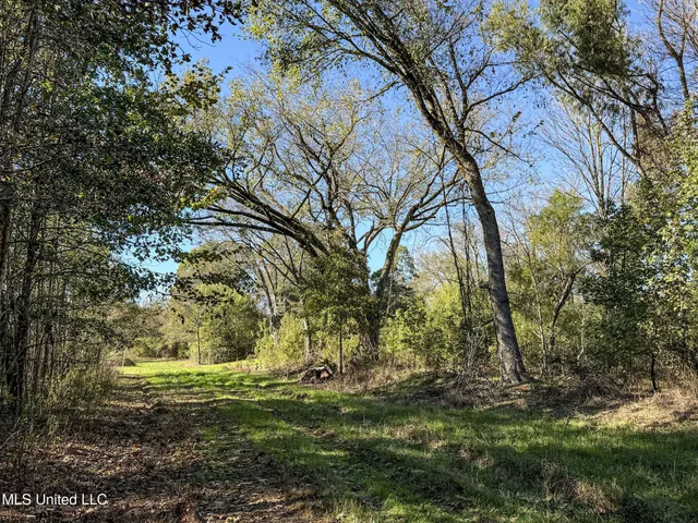 $1,325,000 | Shiloh Road, Batesville, MS 38606