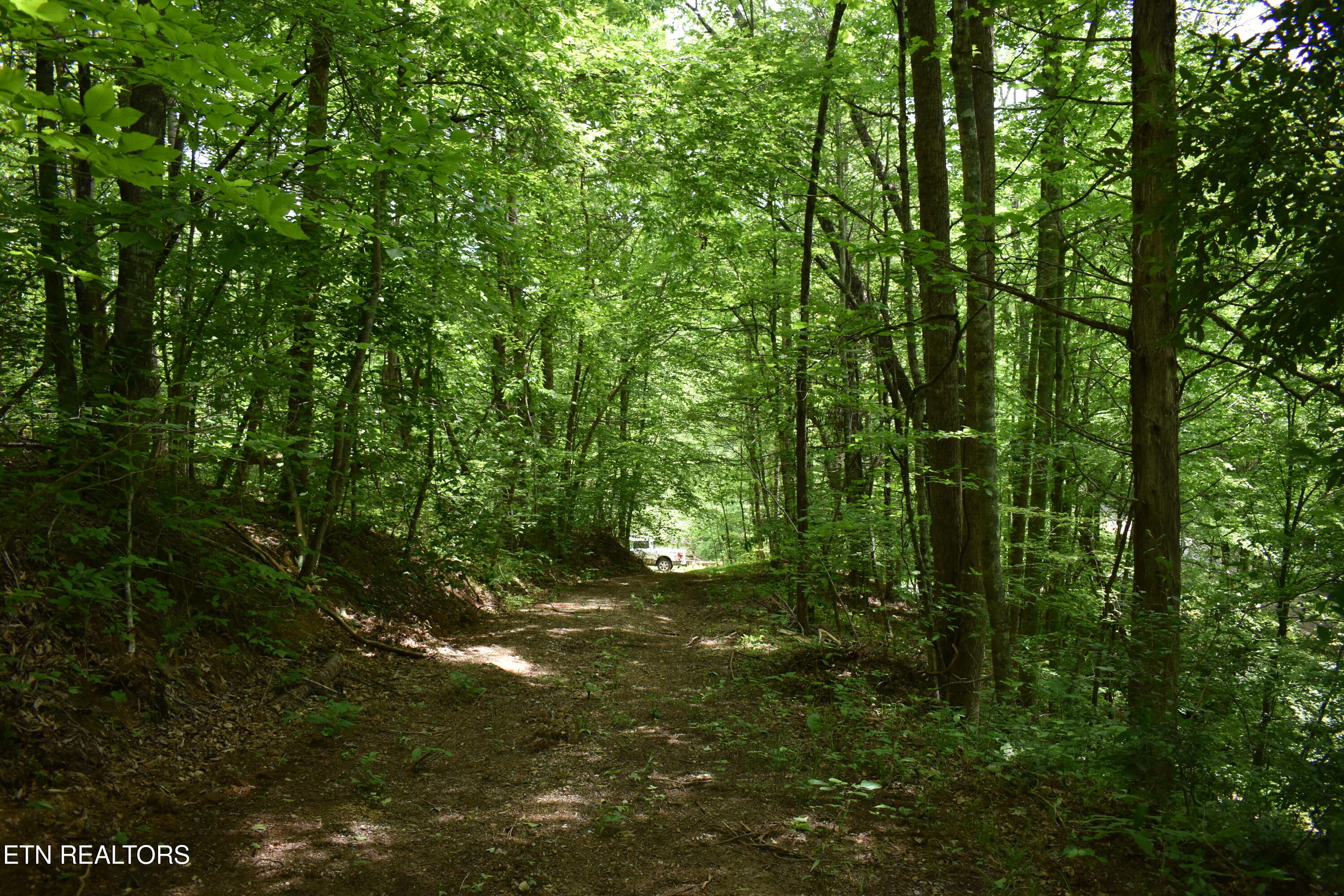 Shady Valley Road Rose Hill, VA 24281 - Photo 26 of 28 DSC_0031