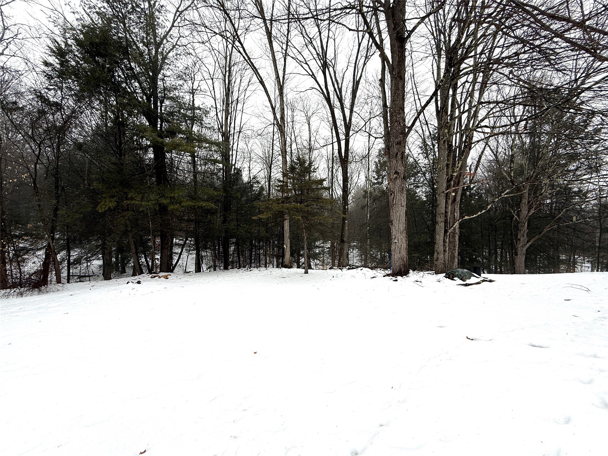 412 McFadden Road Apalachin, NY 13732 - Photo 6 of 47