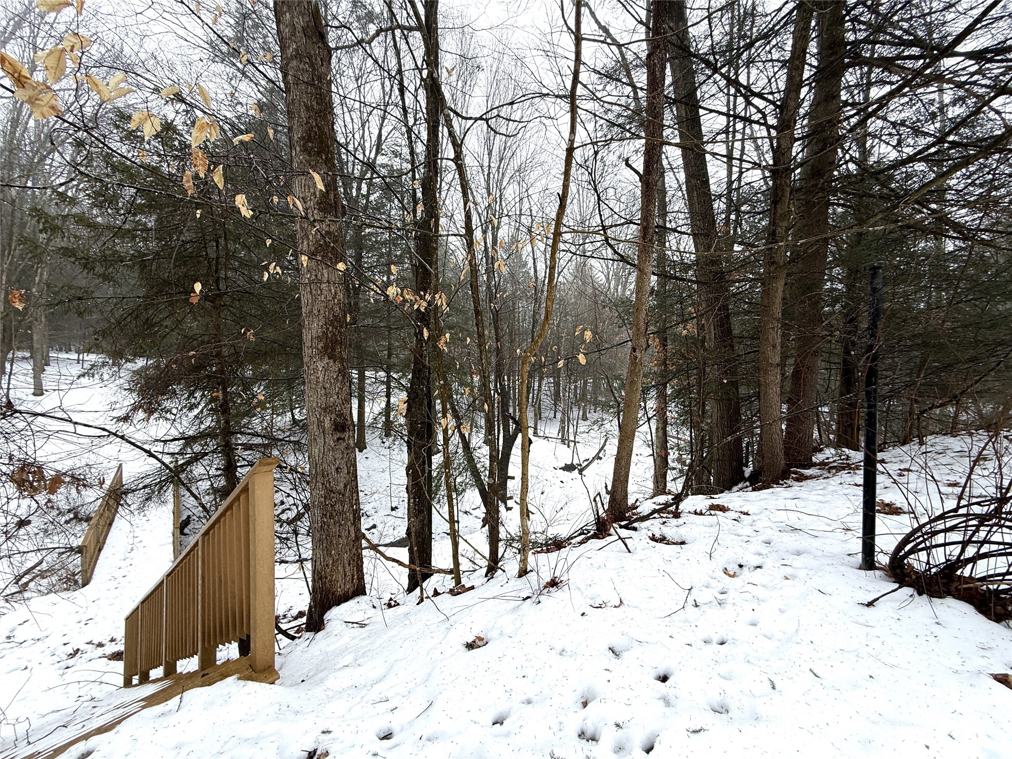 412 McFadden Road Apalachin, NY 13732 - Photo 7 of 47