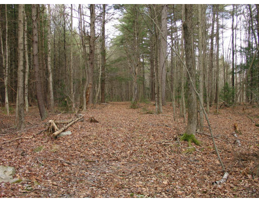 150 Linseed Road Hatfield, MA 01088 - Photo 4 of 4