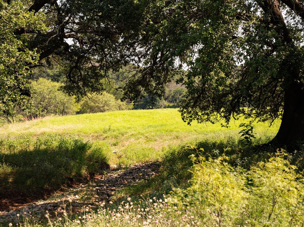 2109 River Shls Road Mineral Wells, TX 76067 - Photo 22 of 40 a view of a yard with a tree